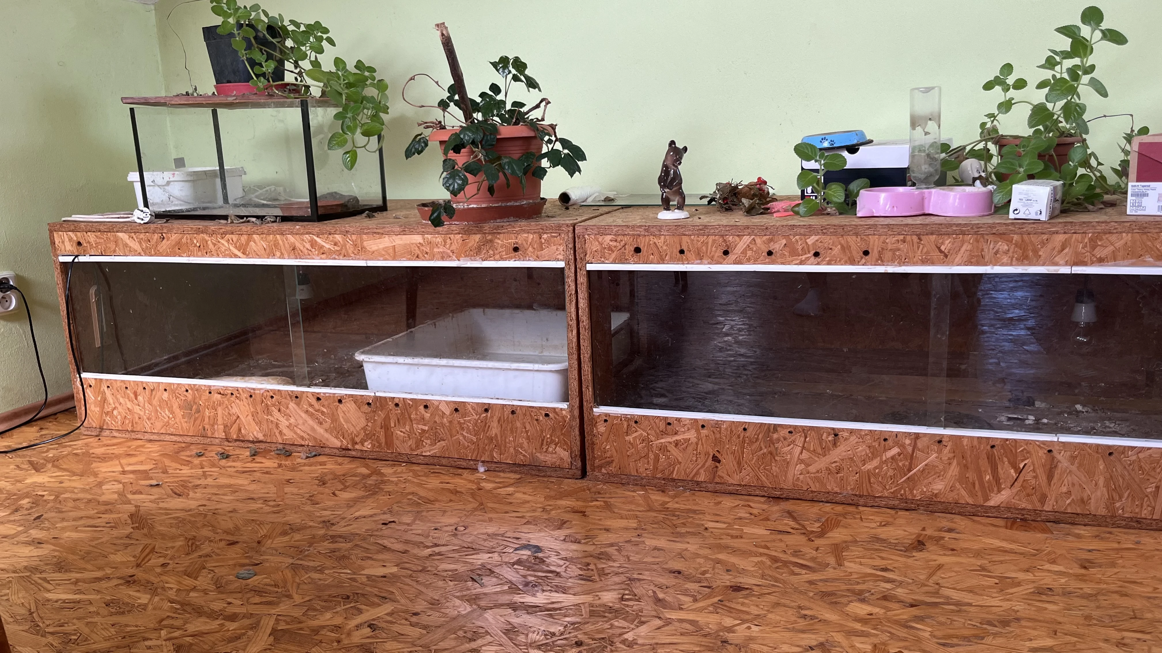 Prodám dvě terária