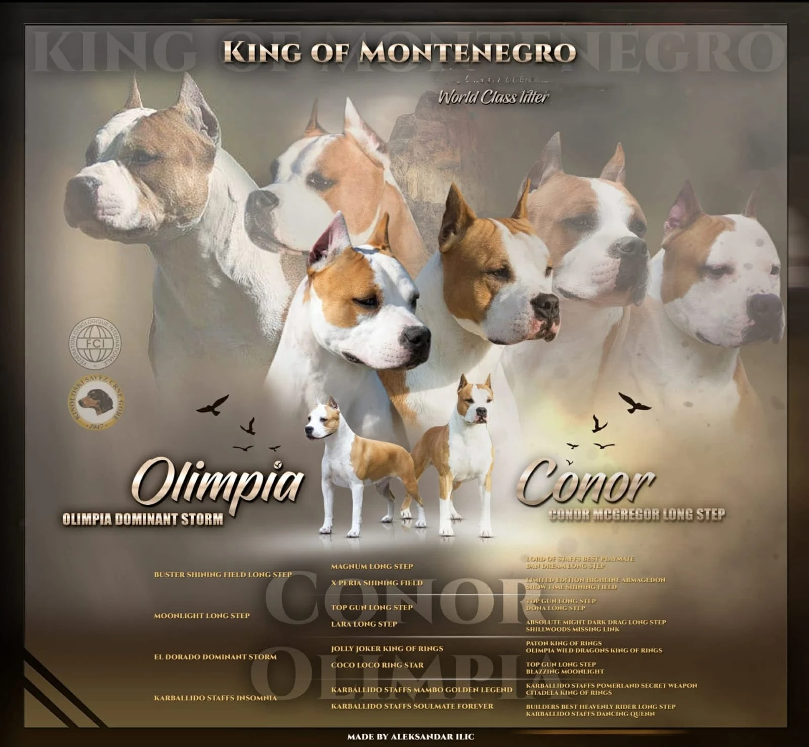 American Staffordshire Terrier Puppies