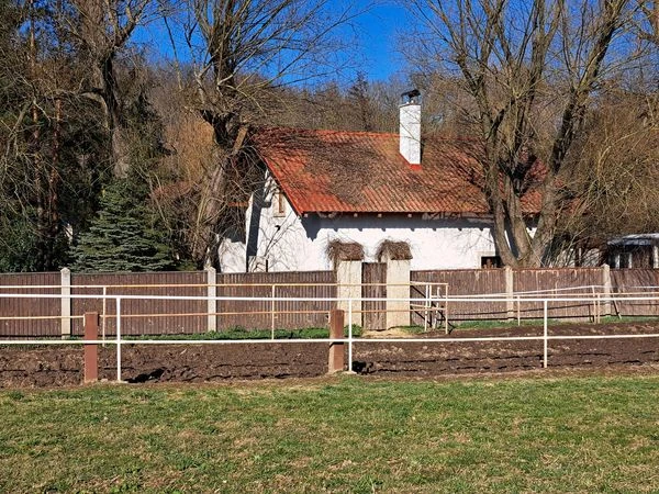 Asistentka, hospodyně a práce u koní