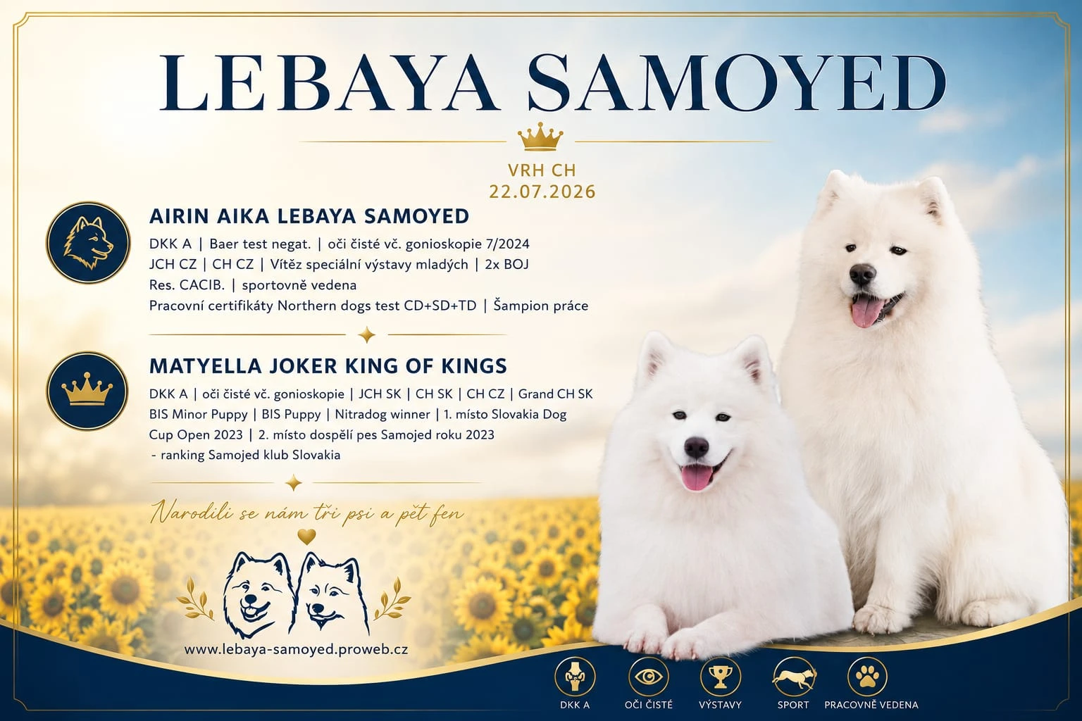 Štěňátka plemene Samojed s PP