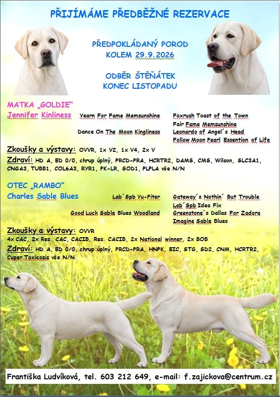 Štěňátka labradorského retrievera s PP