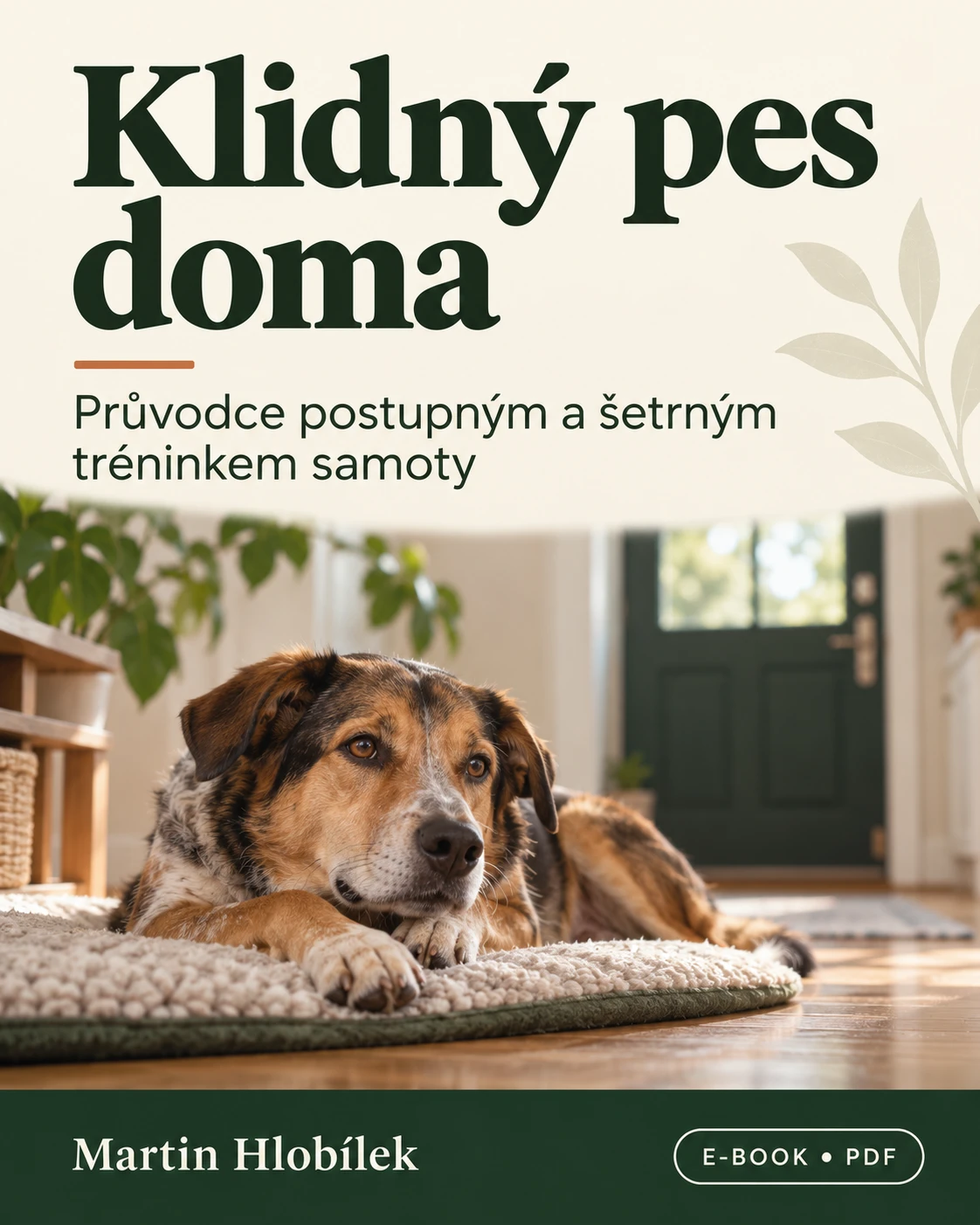 Klidný pes doma – e-book o samotě psa  pracovní sešit zdarma
