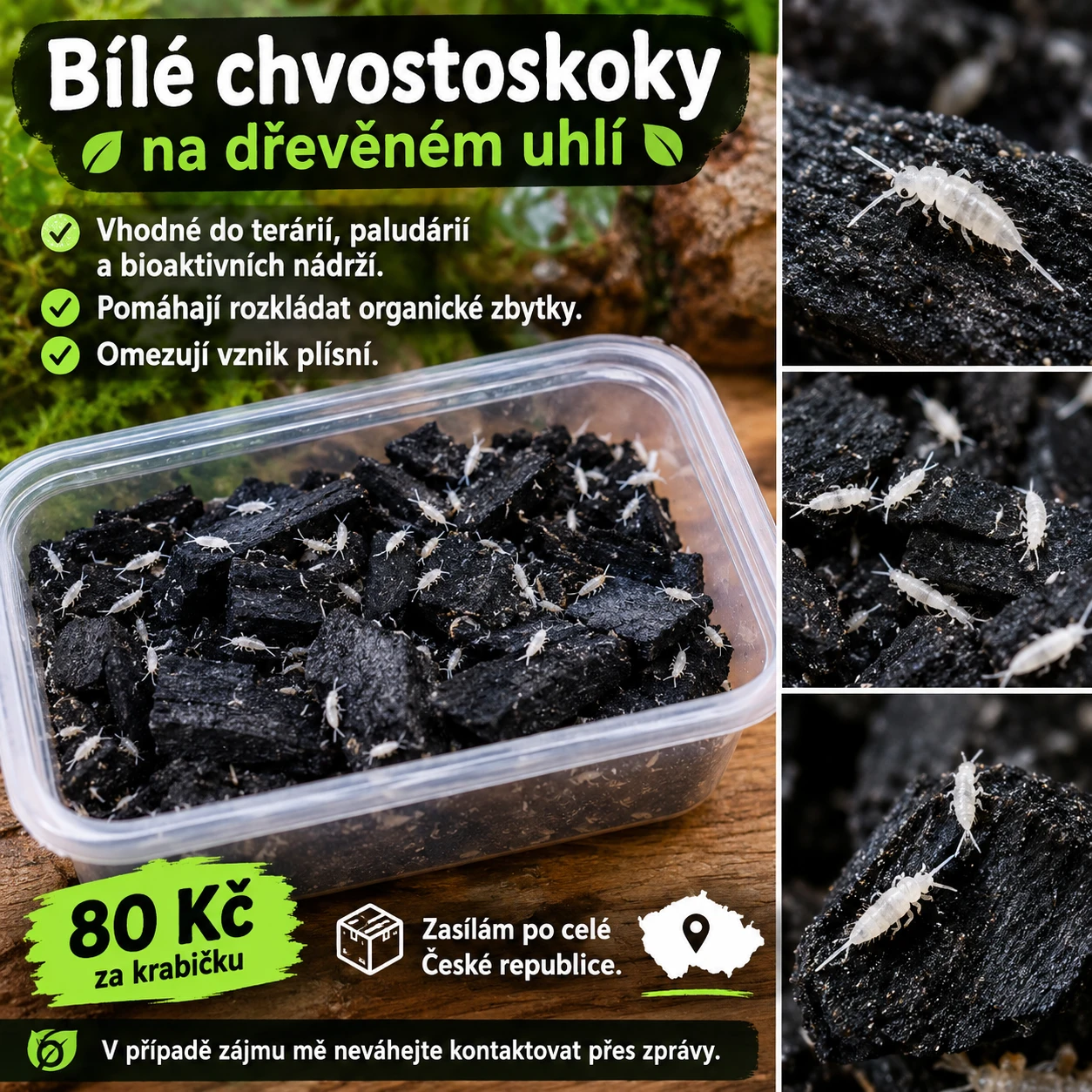 Prodej chvostoskoků