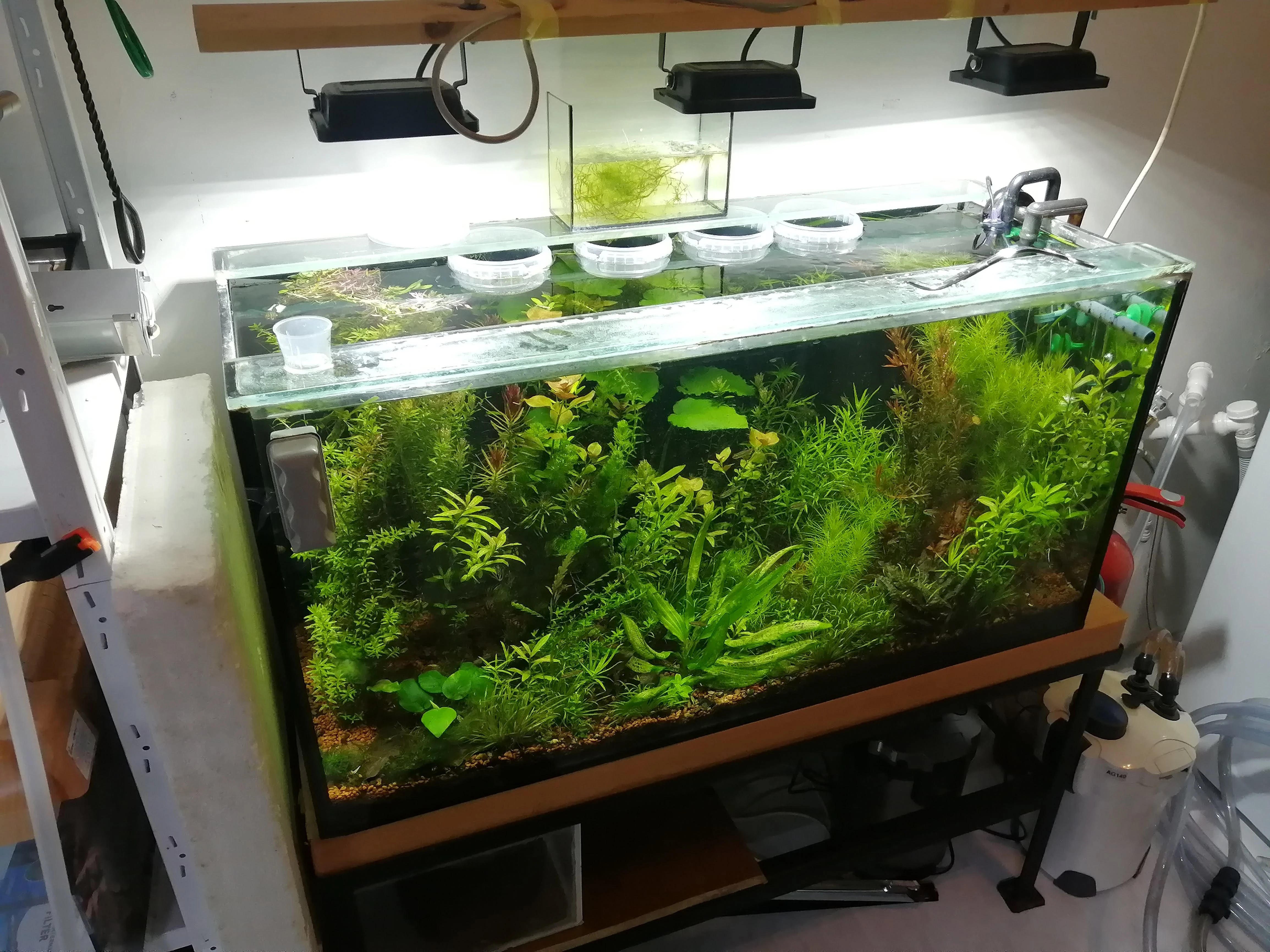 Akvarium 100x40x50stojansvetlofilt r