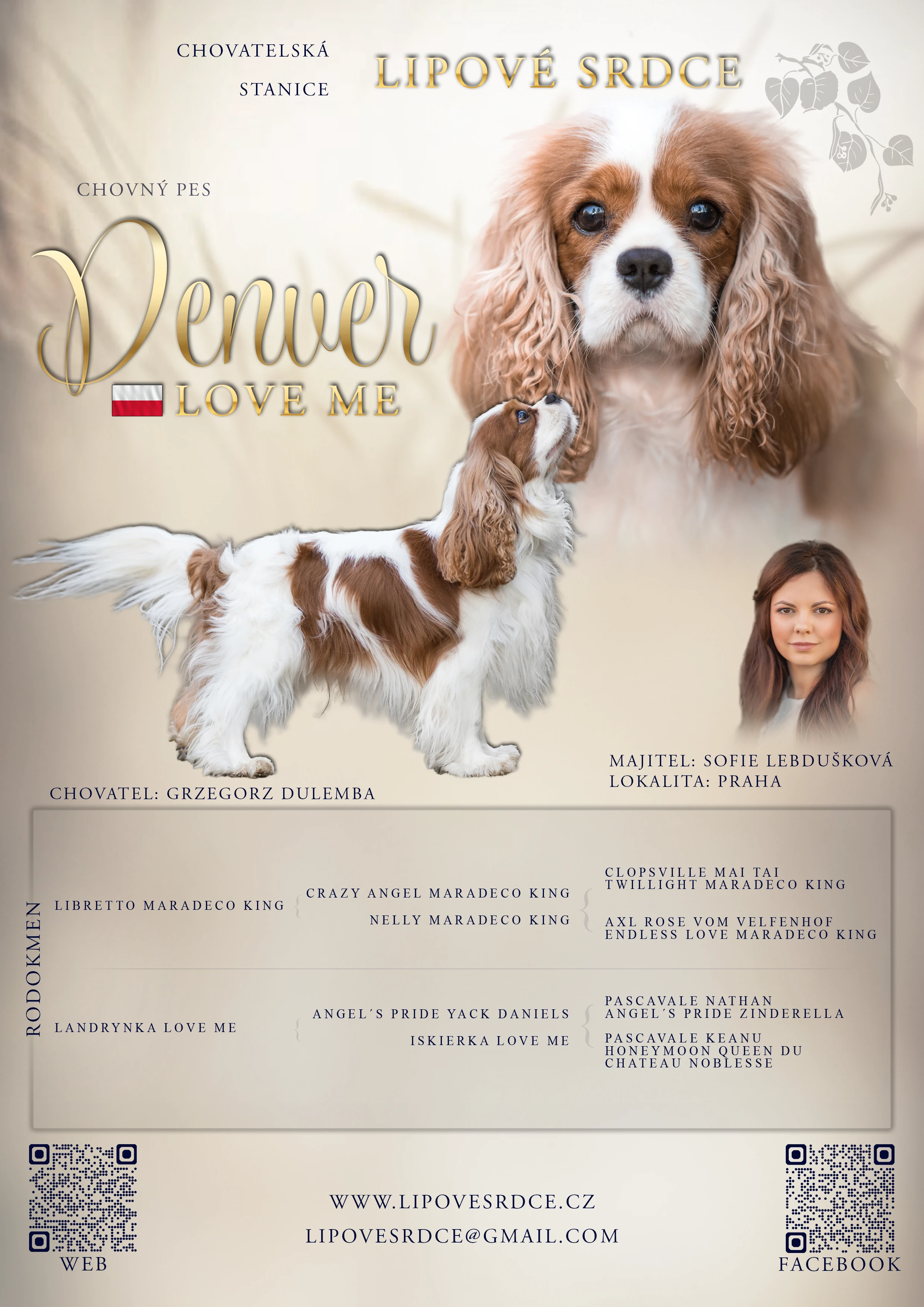 Krycí pes Denver Love Me, Kavalír (Praha)