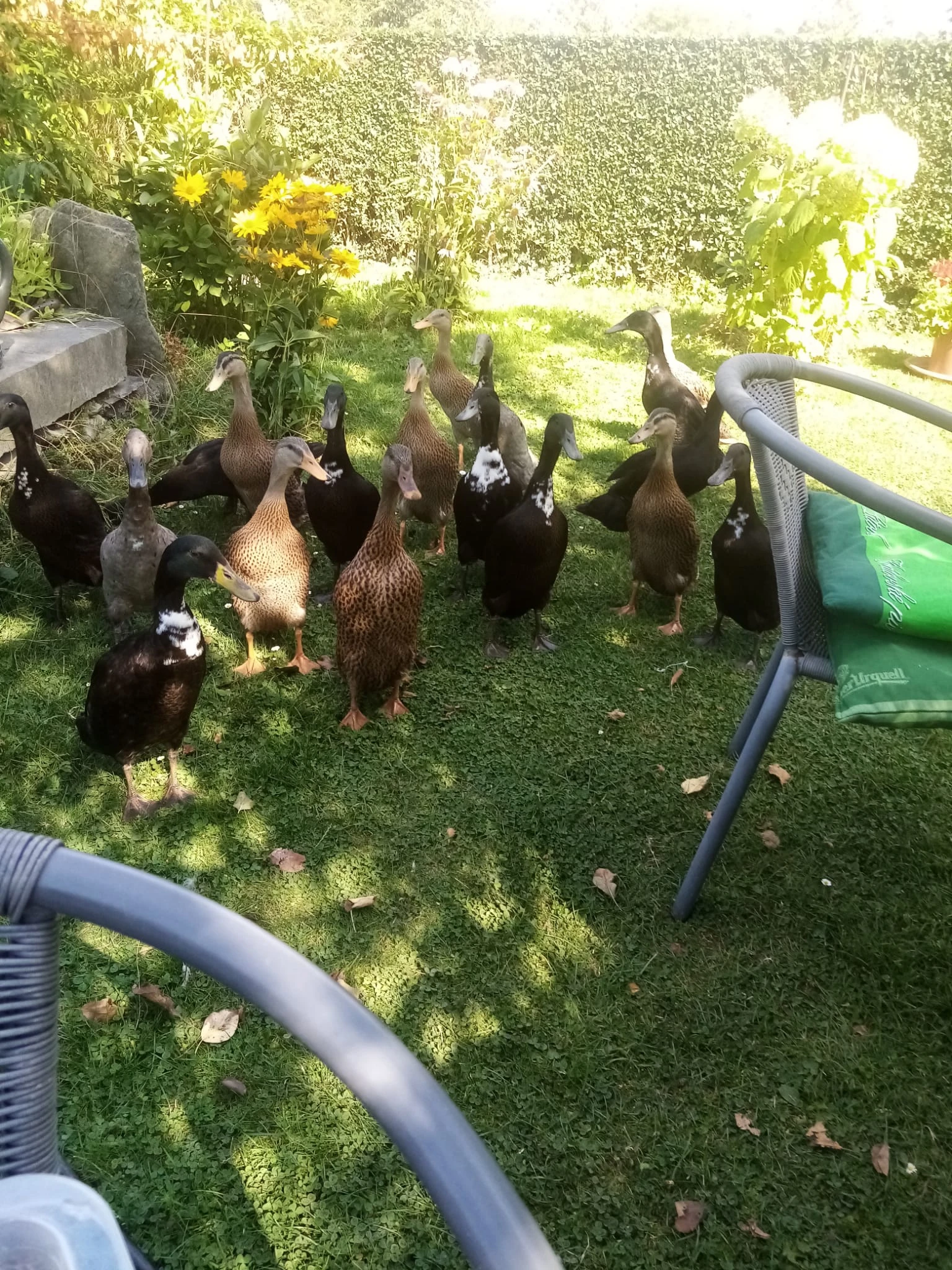 Mladý indický běžec