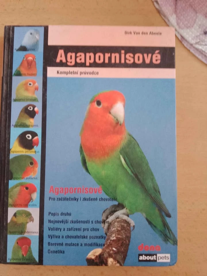 Agapornisové, Dirk Van Abelee