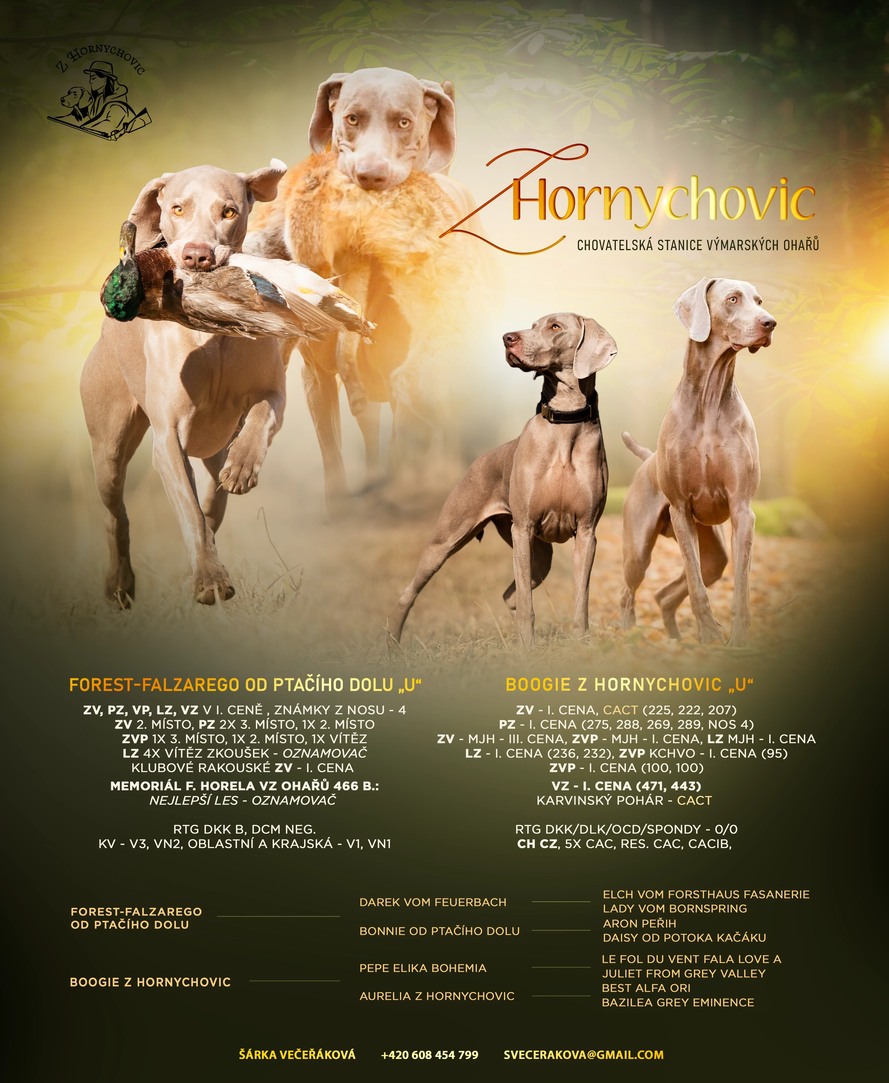 Štěňata Výmarského ohaře