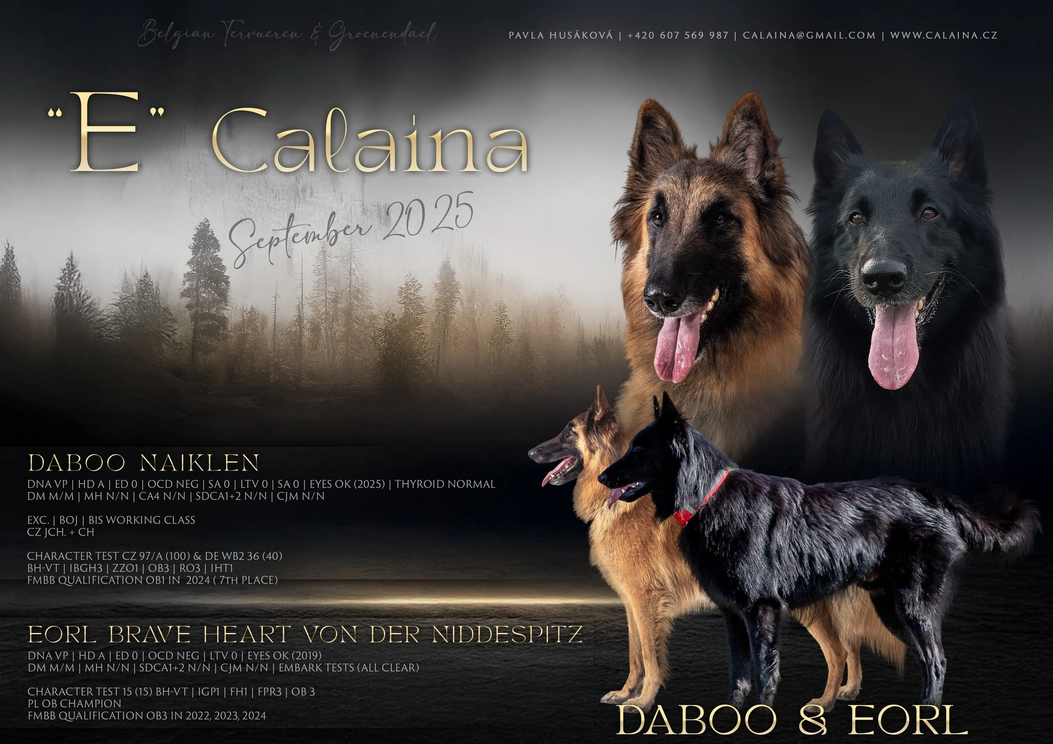 Belgický ovčák groenendael a tervueren