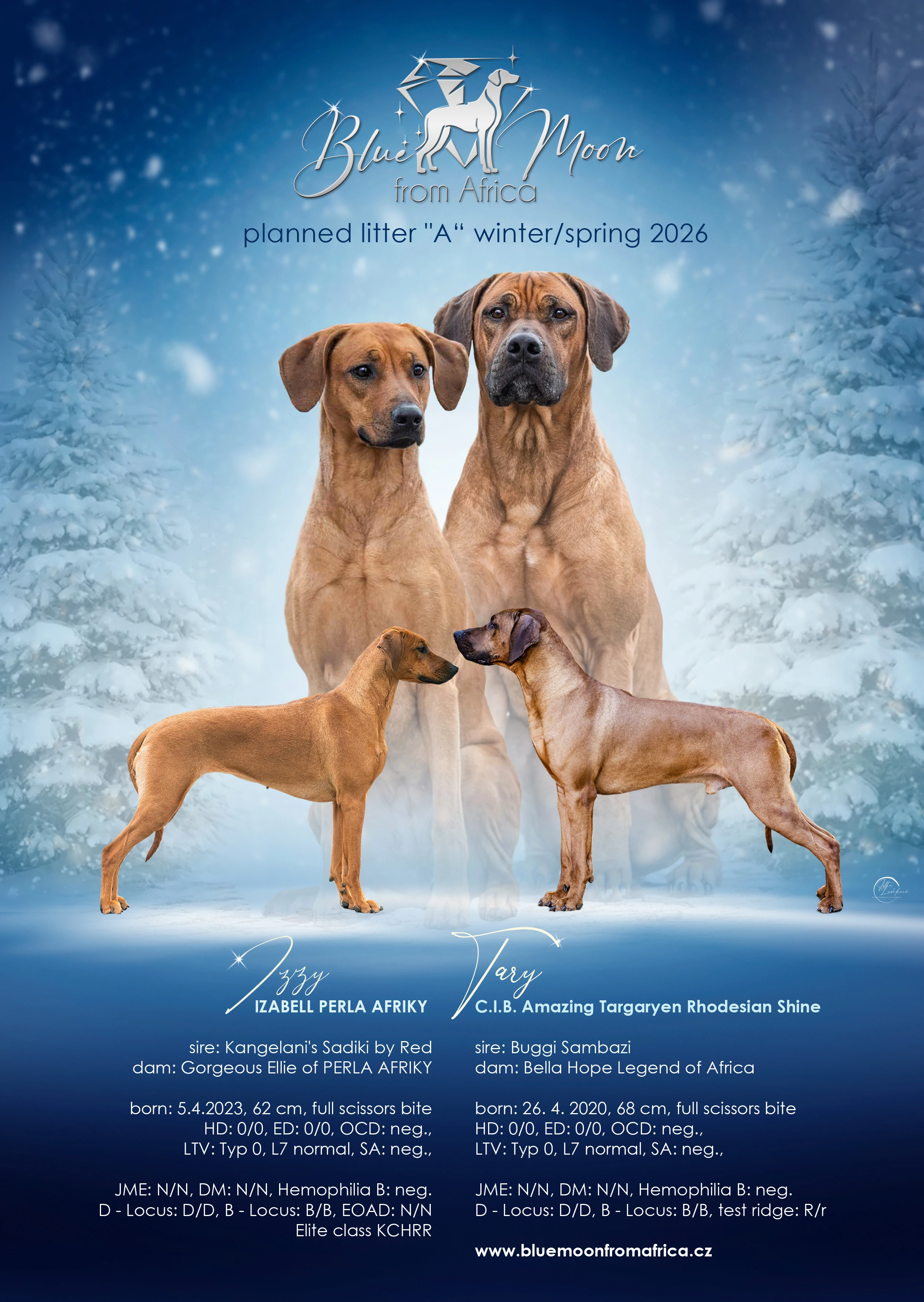 Plánovaná štěňátka RR s PP