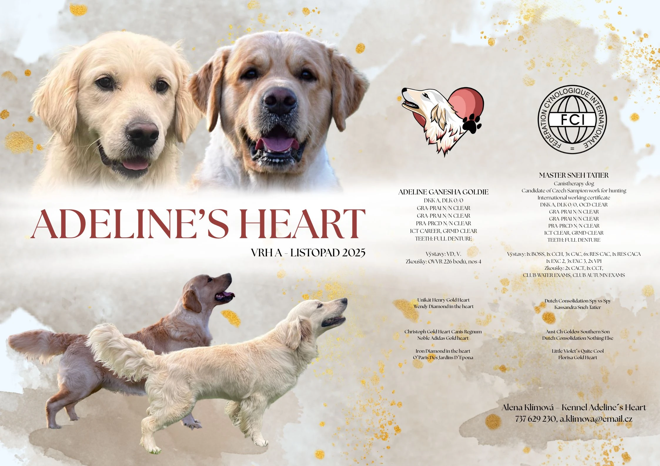 Očekáváme narození štěňátek