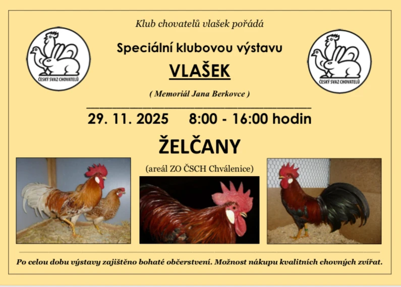 Speciální výstava vlašek