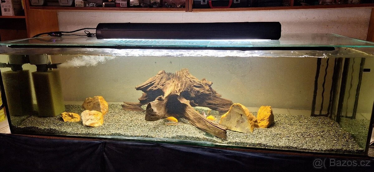 Prodám velké akvária