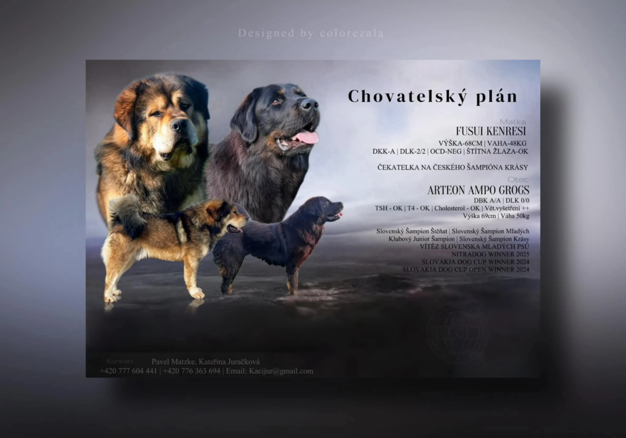 Rezervace Tibetská doga