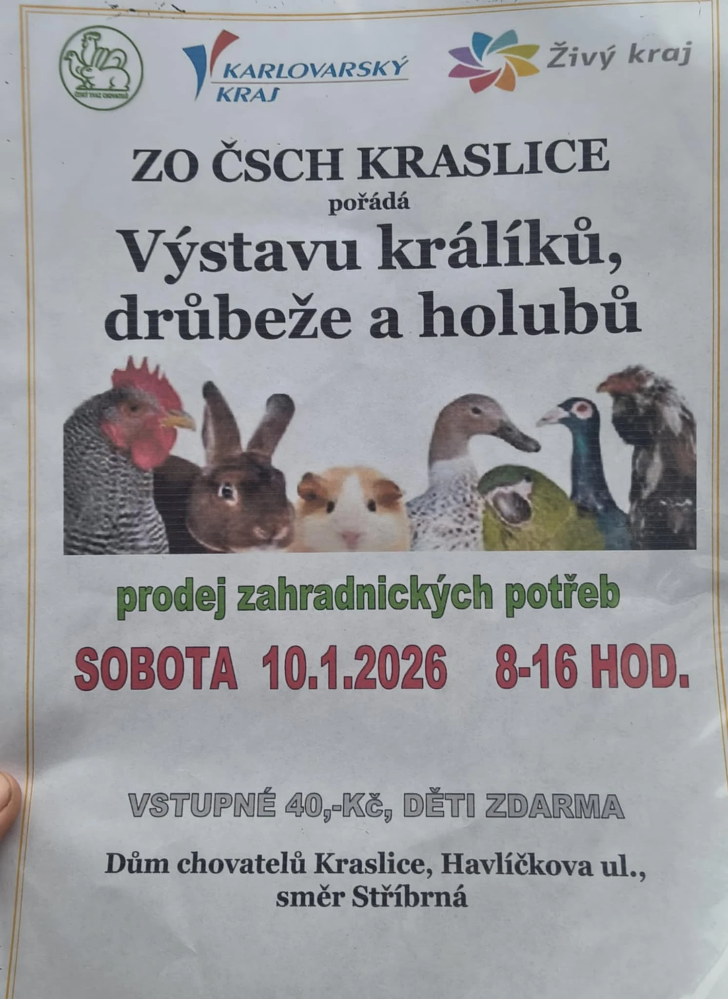 Výstava Kraslice