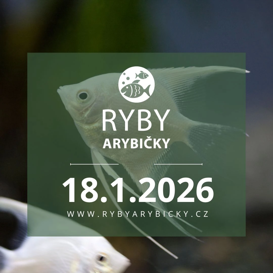 Ryby a rybičky - výstavní a prodejní akvaristická burza v Praze - 18.1.2026