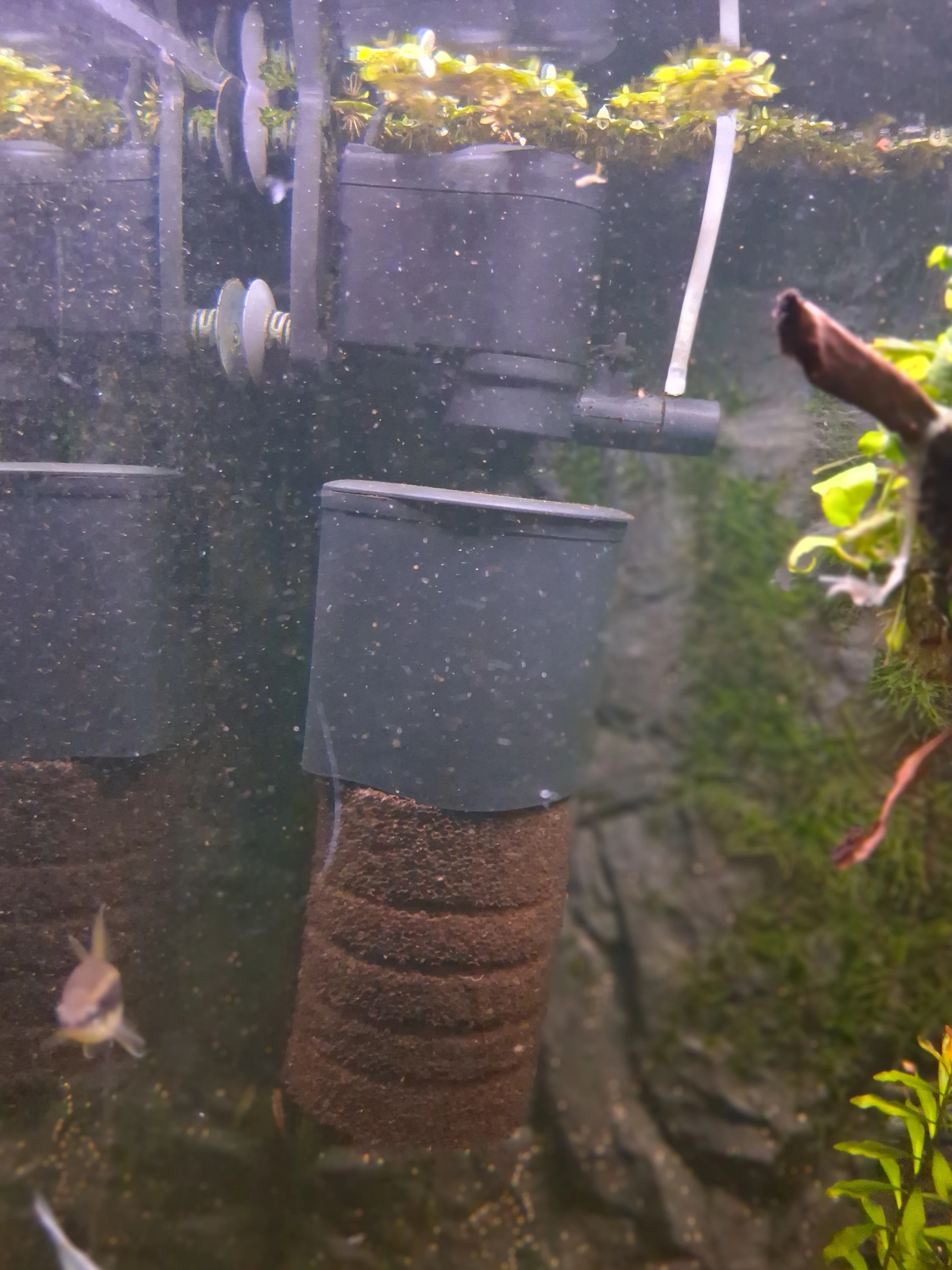 Filtr Aquael turbo filtr 1000