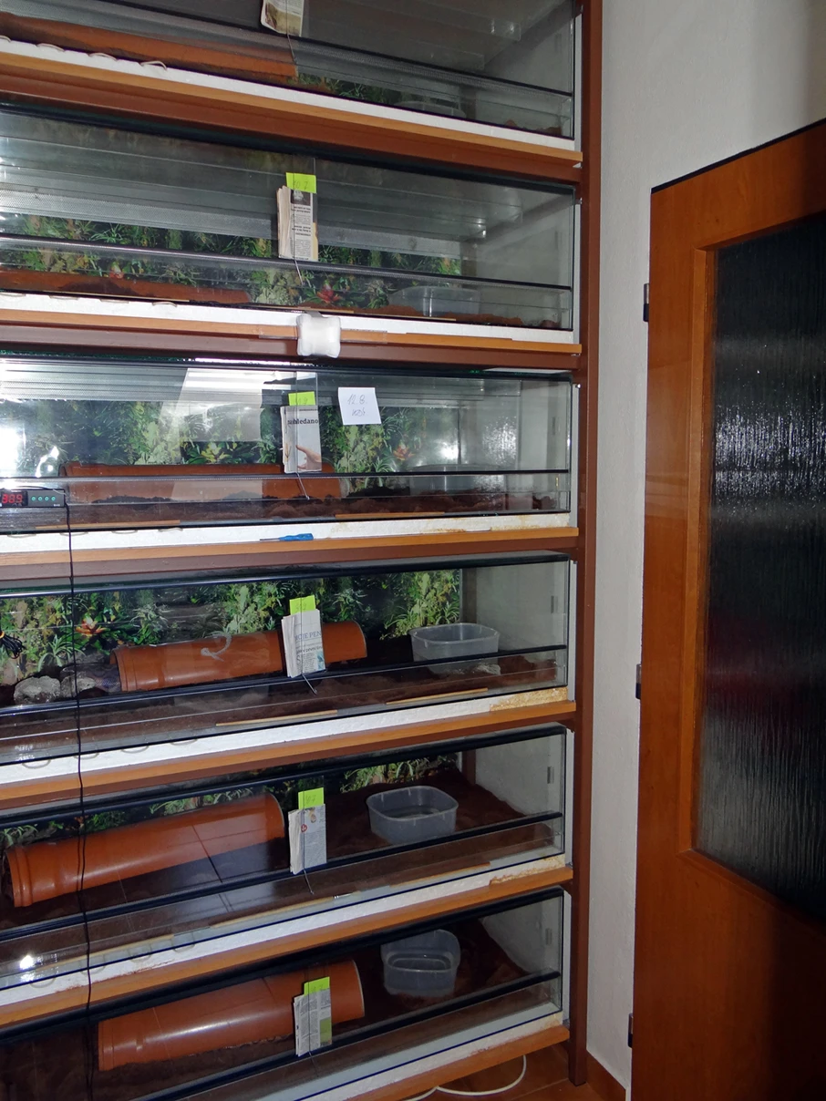 Sestava viz foto ...