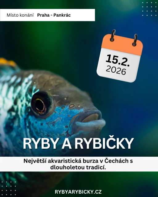 Ryby a rybičky - výstavní a prodejní akvaristická burza v Praze - 15.2.2026