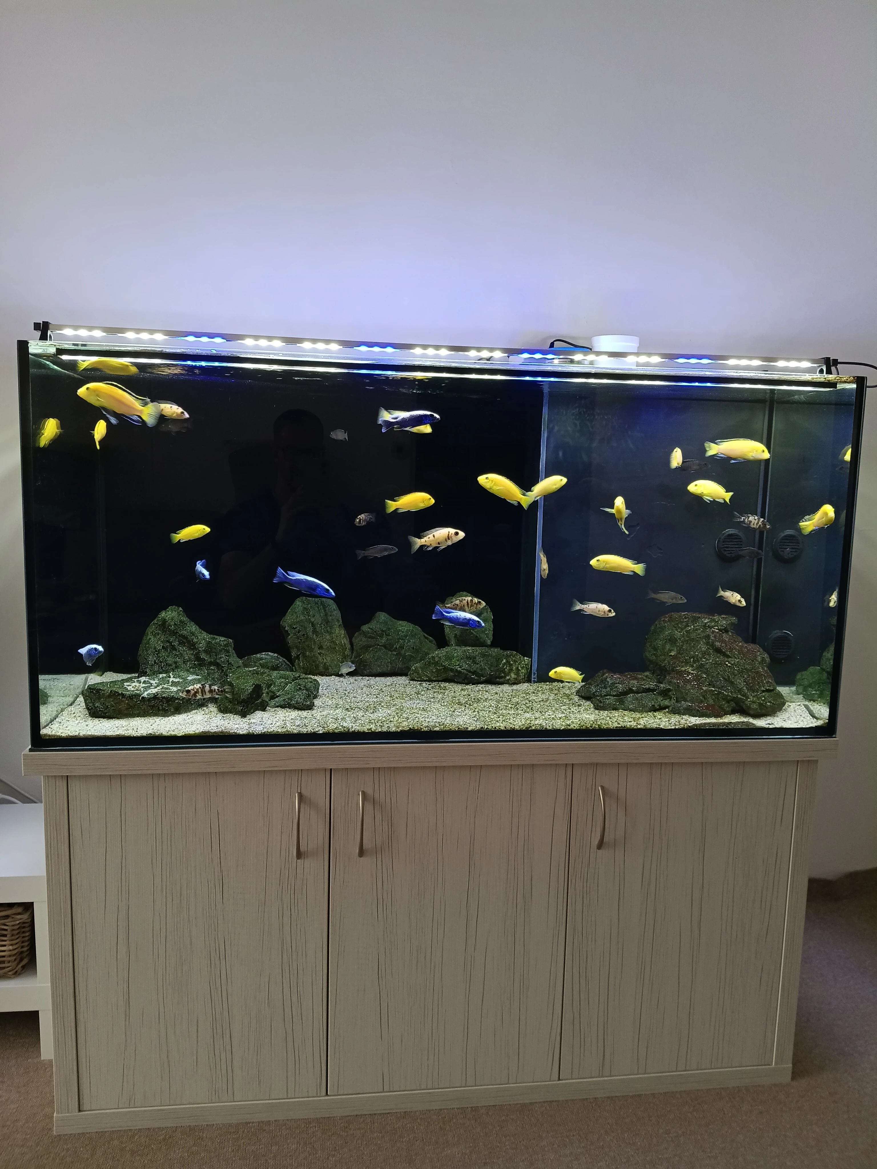 Kompletní akvárium 130x60x60