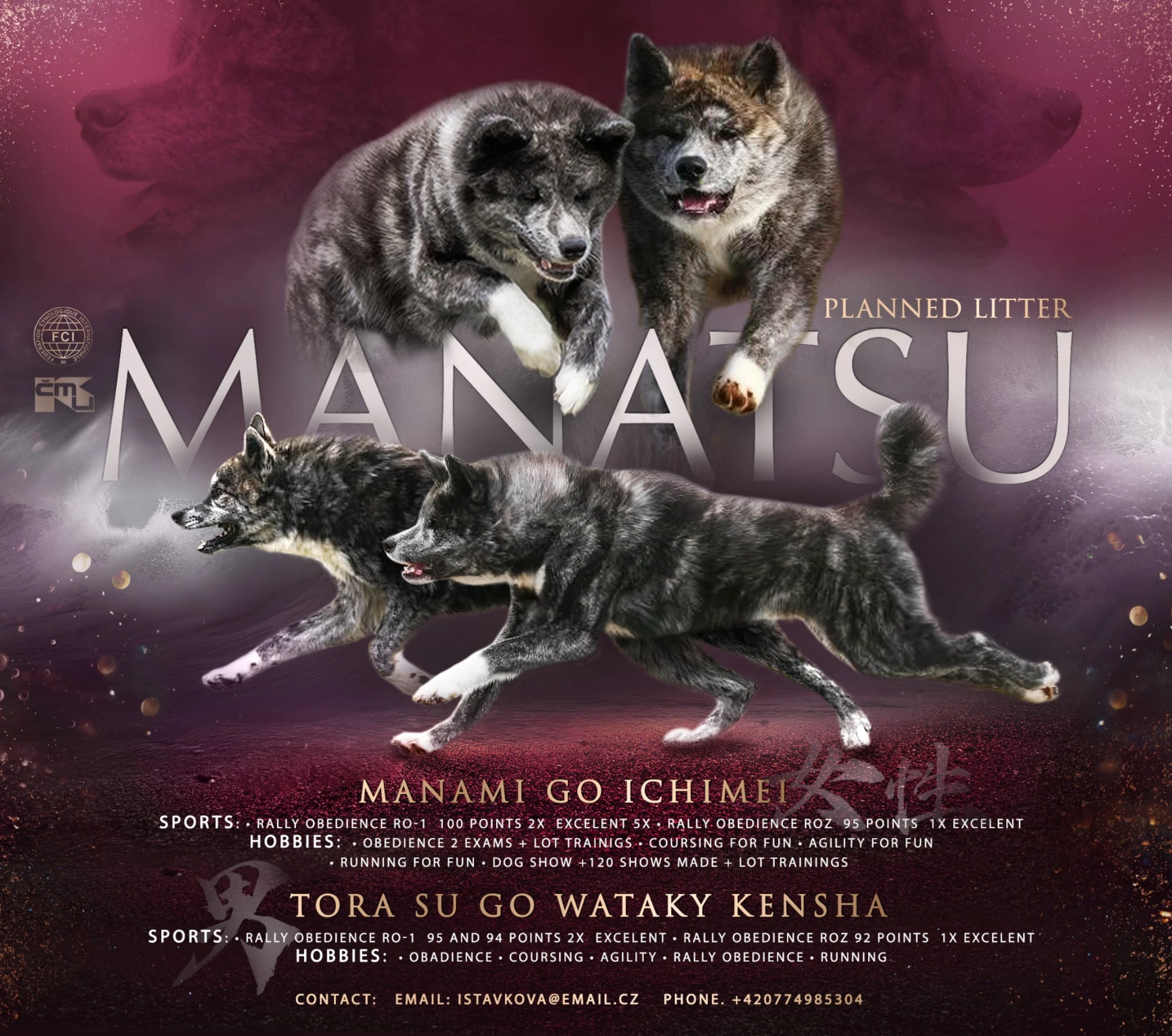 Plánované krytí únor 2026