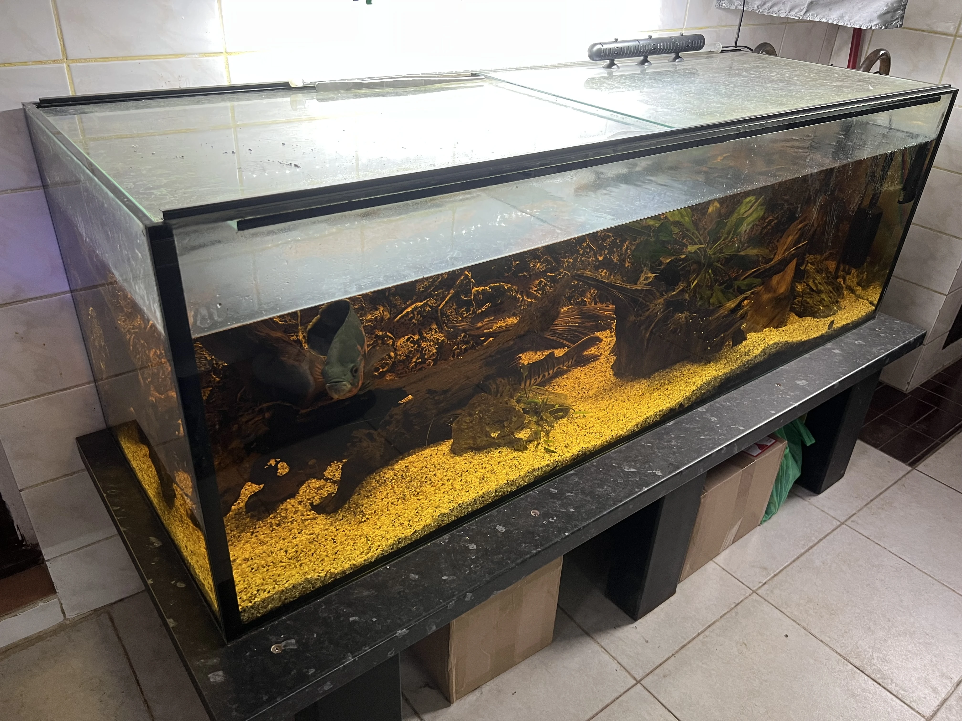 Plně vybavené akvárium 400l. 150x50x50