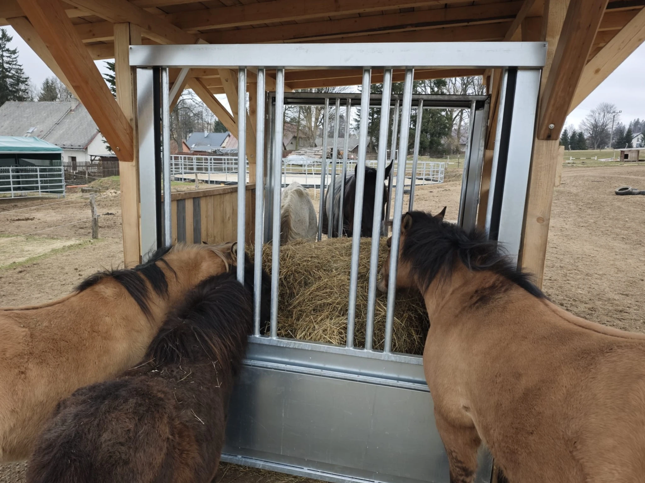 Automatické příkrmiště