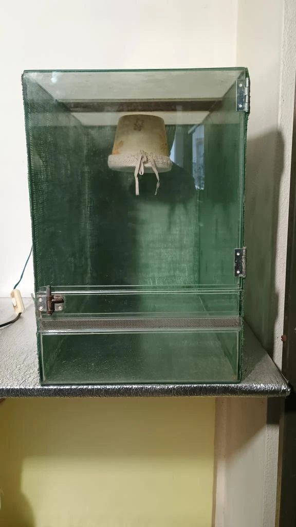 Prodám terárium 30*55*45 cm