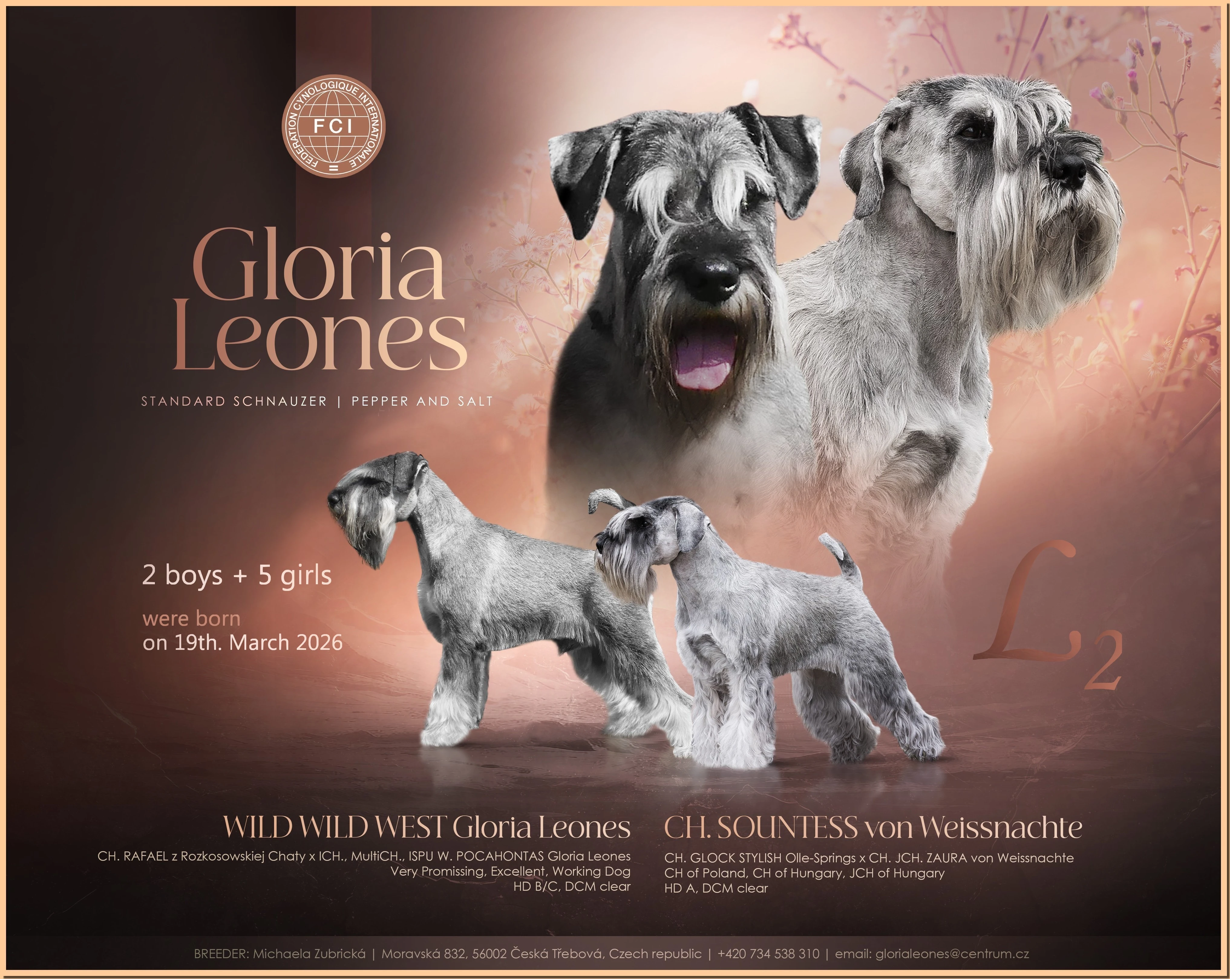 Knírač střední pepř a sůl