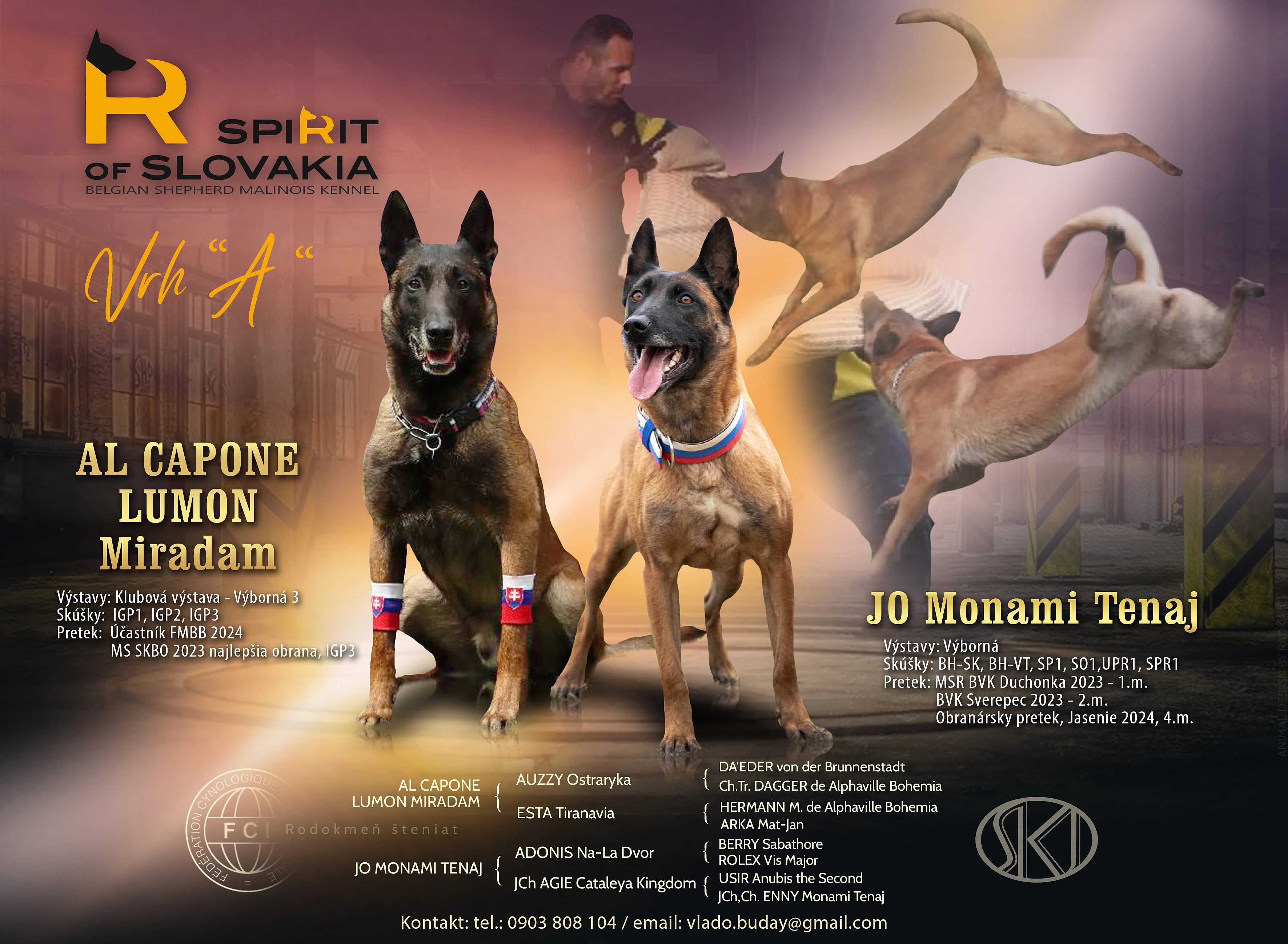 Belgický ovčiak malinois