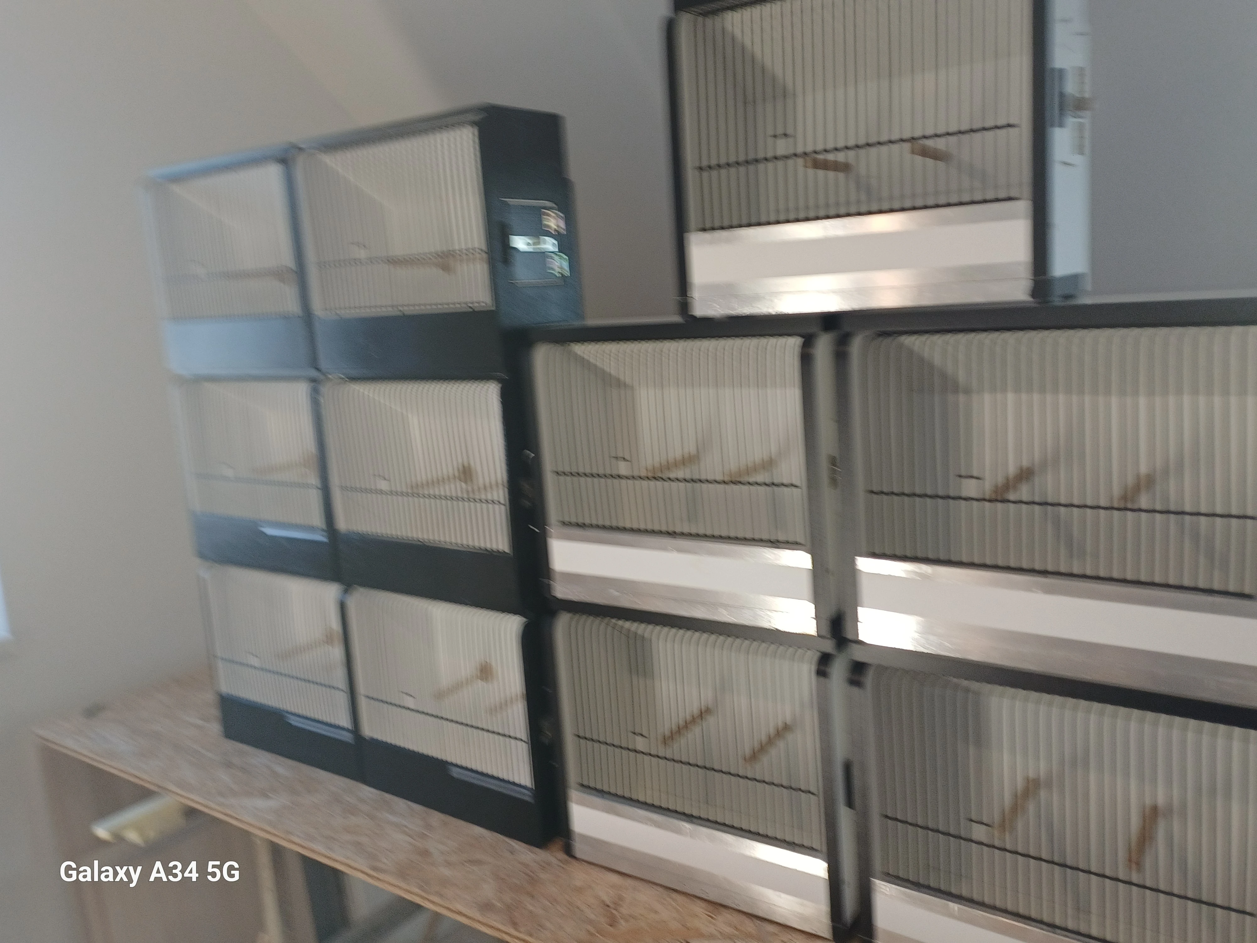 Vystavni boxy na exotické ptactvo