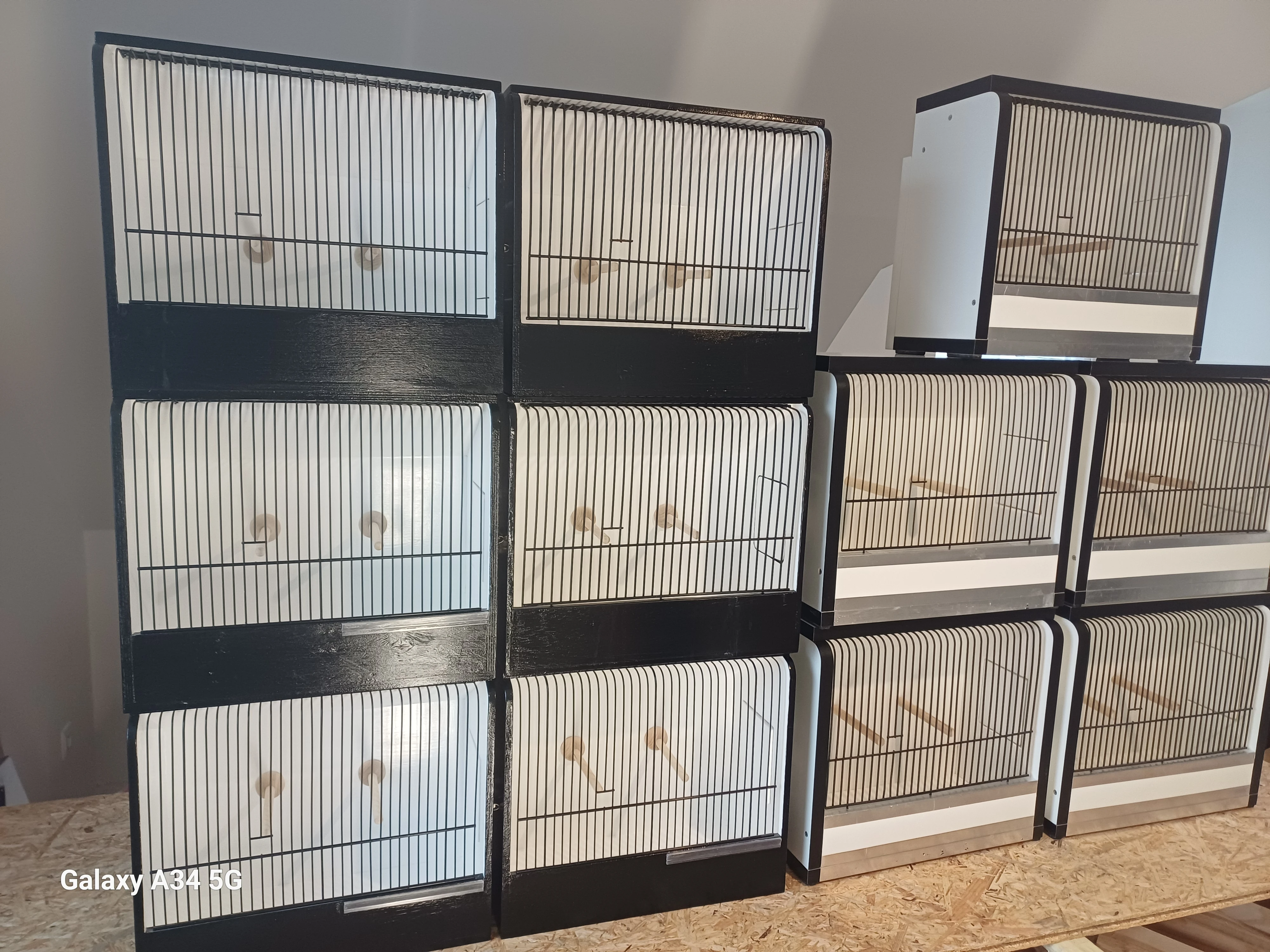 Vystavni boxy na exotické ptactvo