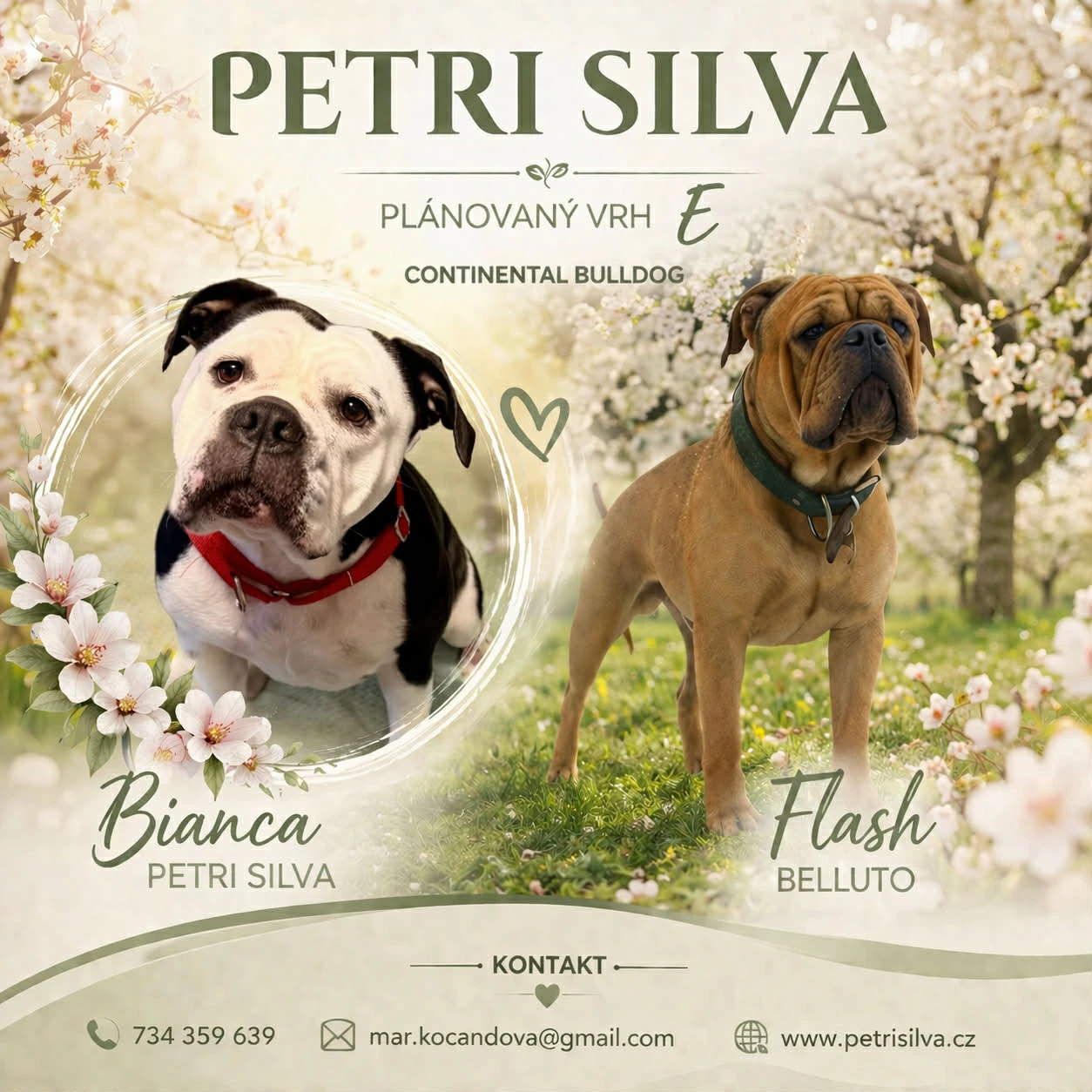 Přijímáme rezervace