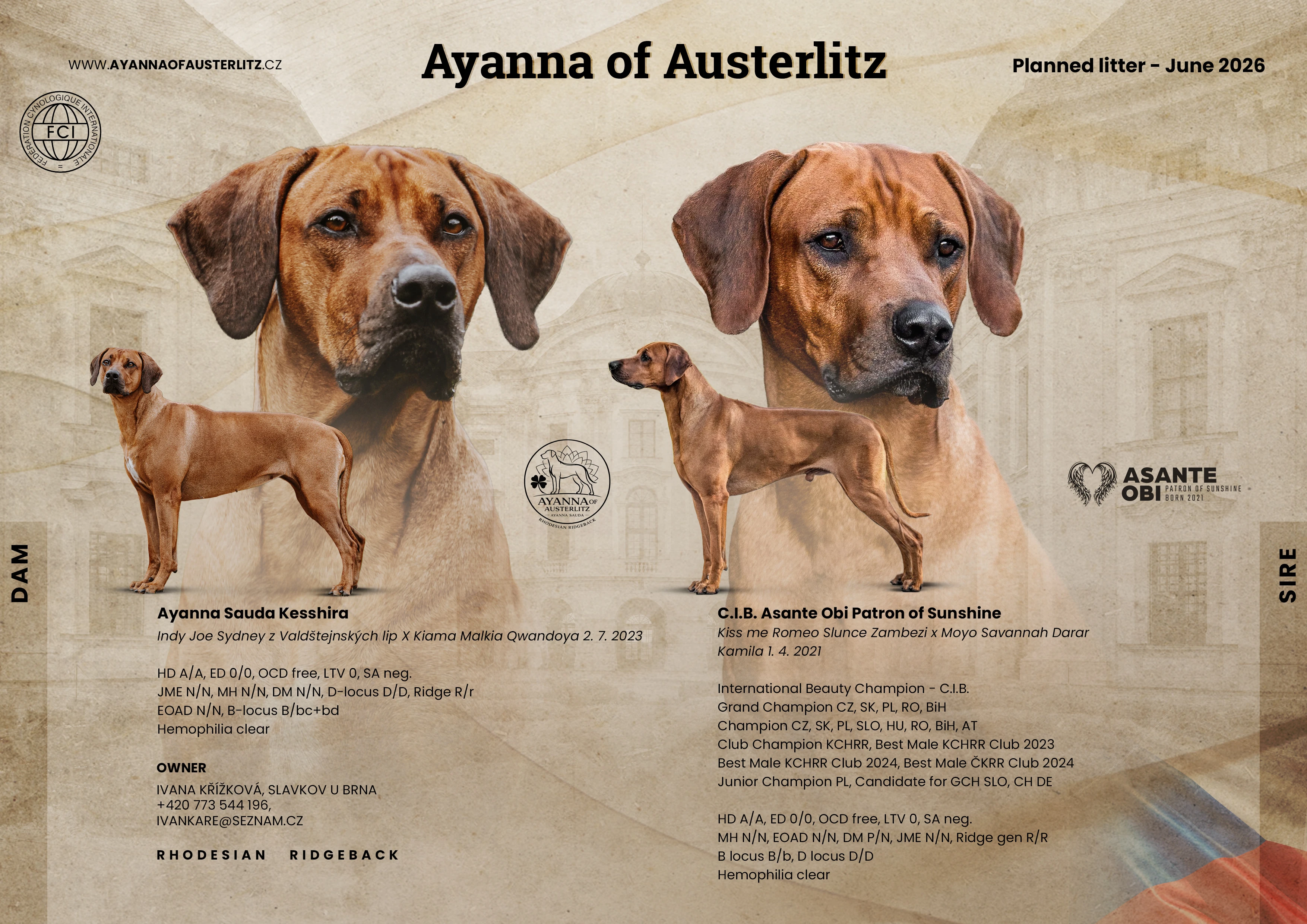 Chovatelská stanice Ayanna of Austerlitz příjímá rezervace na štěňátka