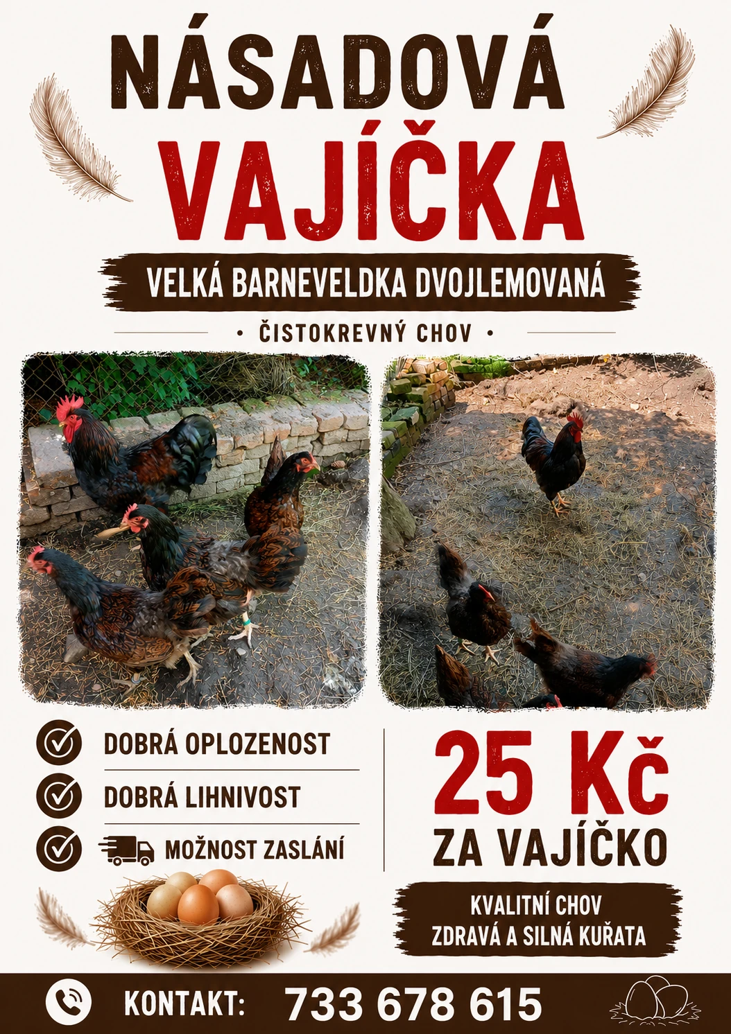 Násadová vajíčka Barneveldka dvojlemová
