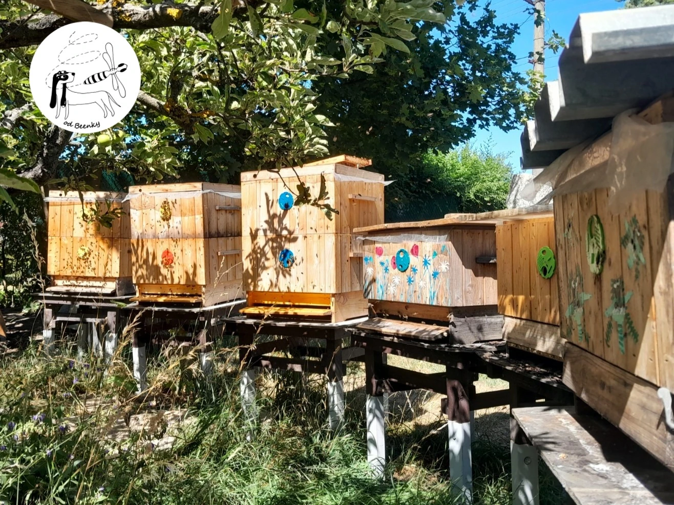 Včely - oddělky