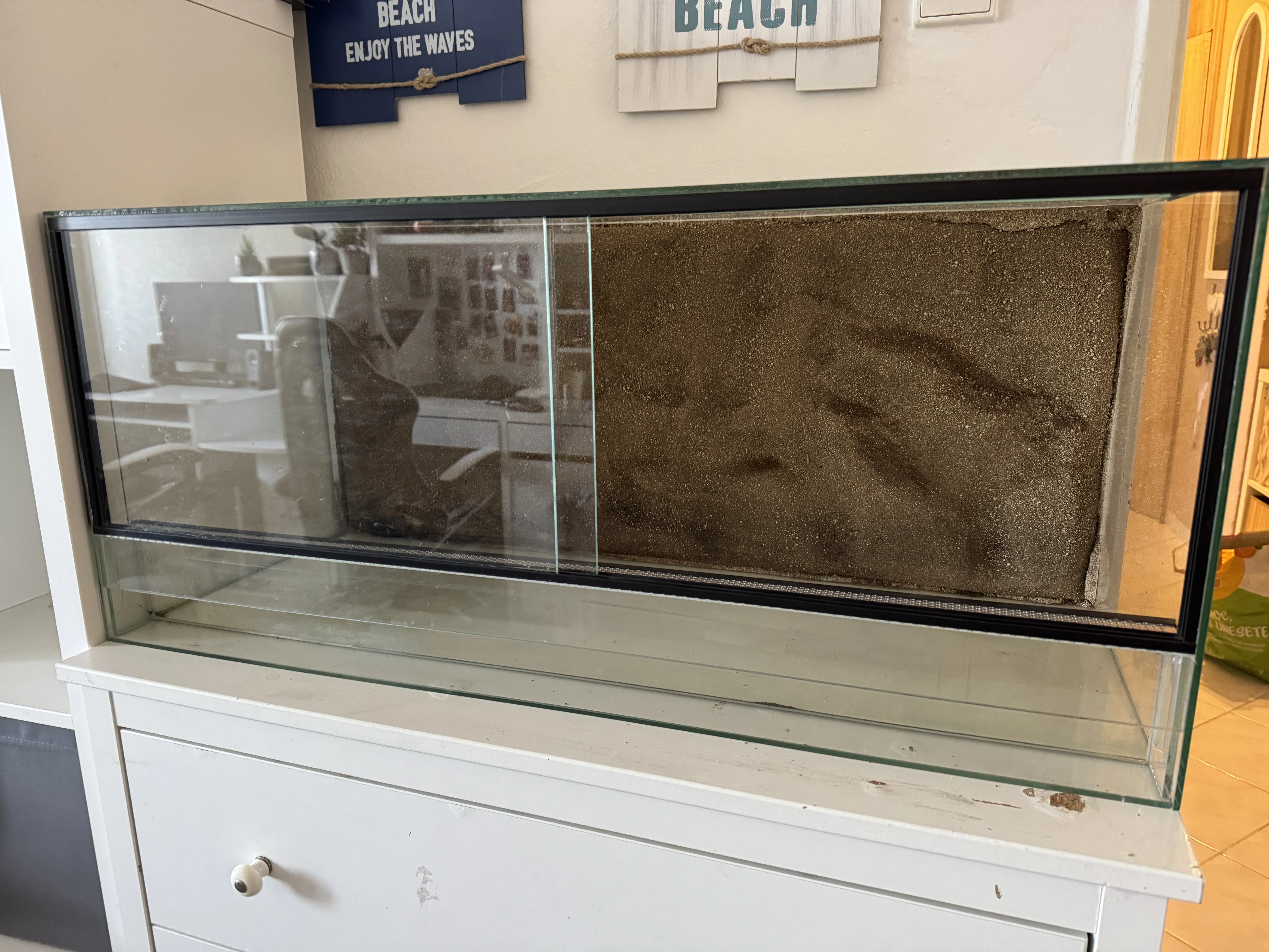 Terarium