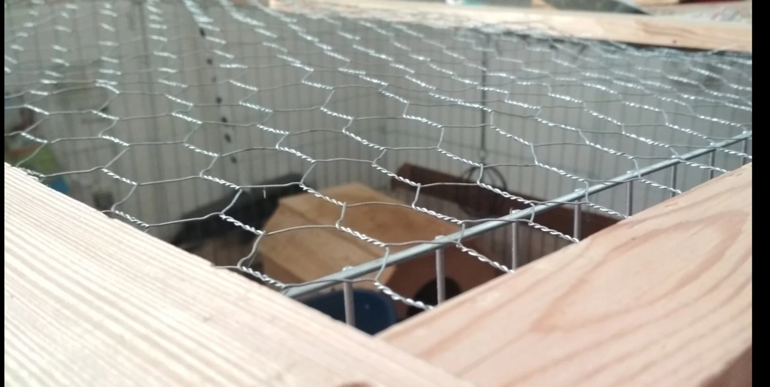 Chovatelské pletivo šestihranné králičí