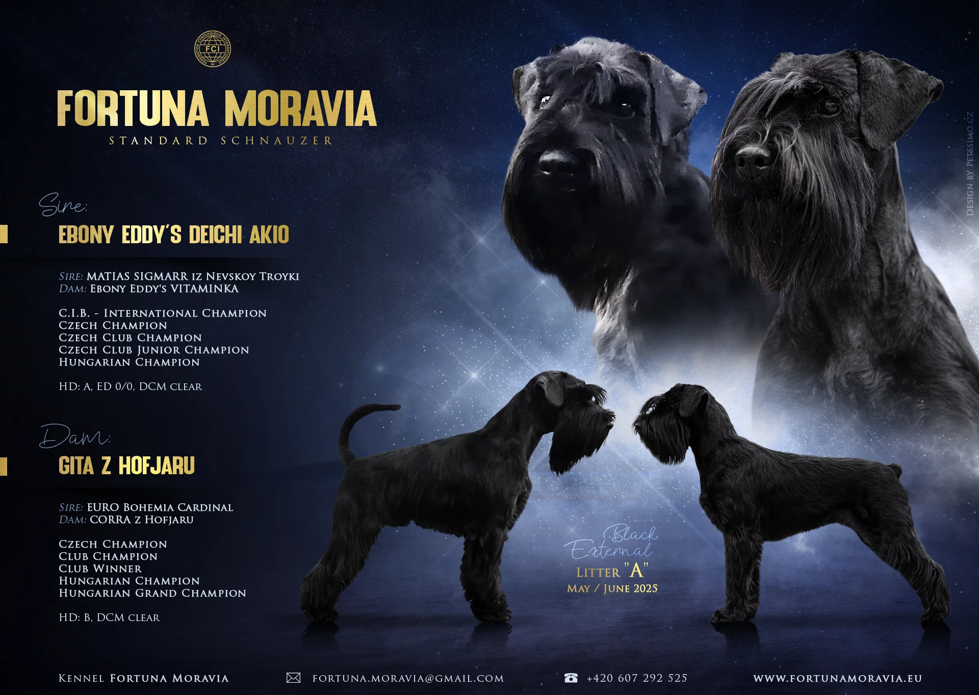 Knírač střední černý