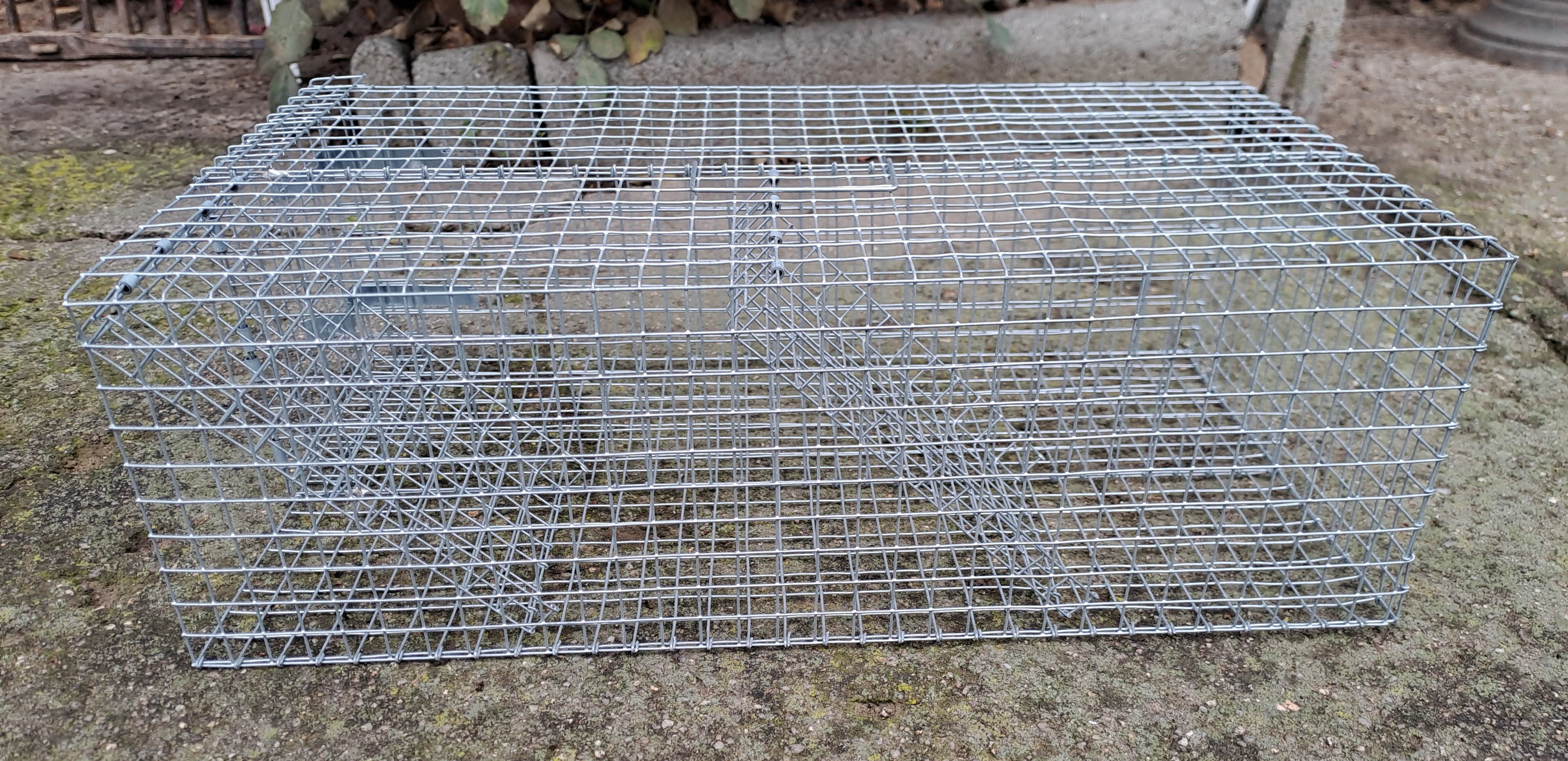 Pasti a sklopce na škodnou