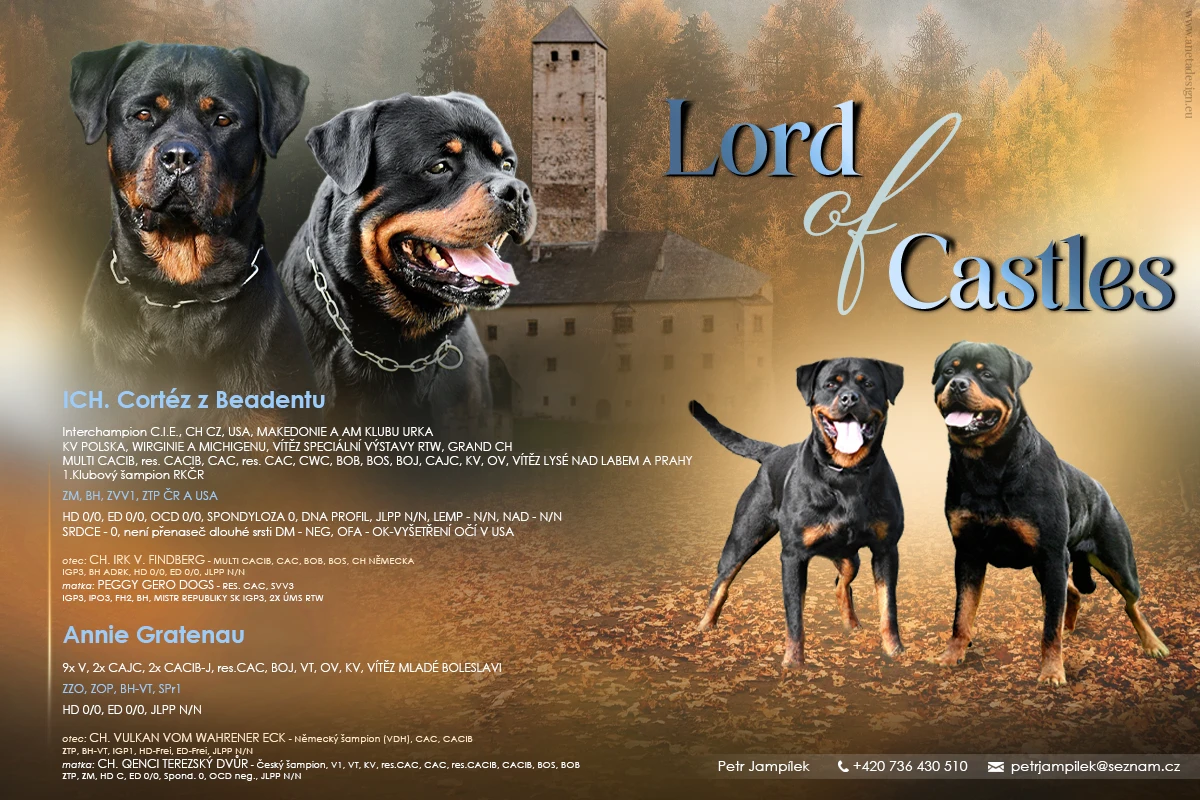 Přijímám rezervace na štěňata rotvajlera s PP