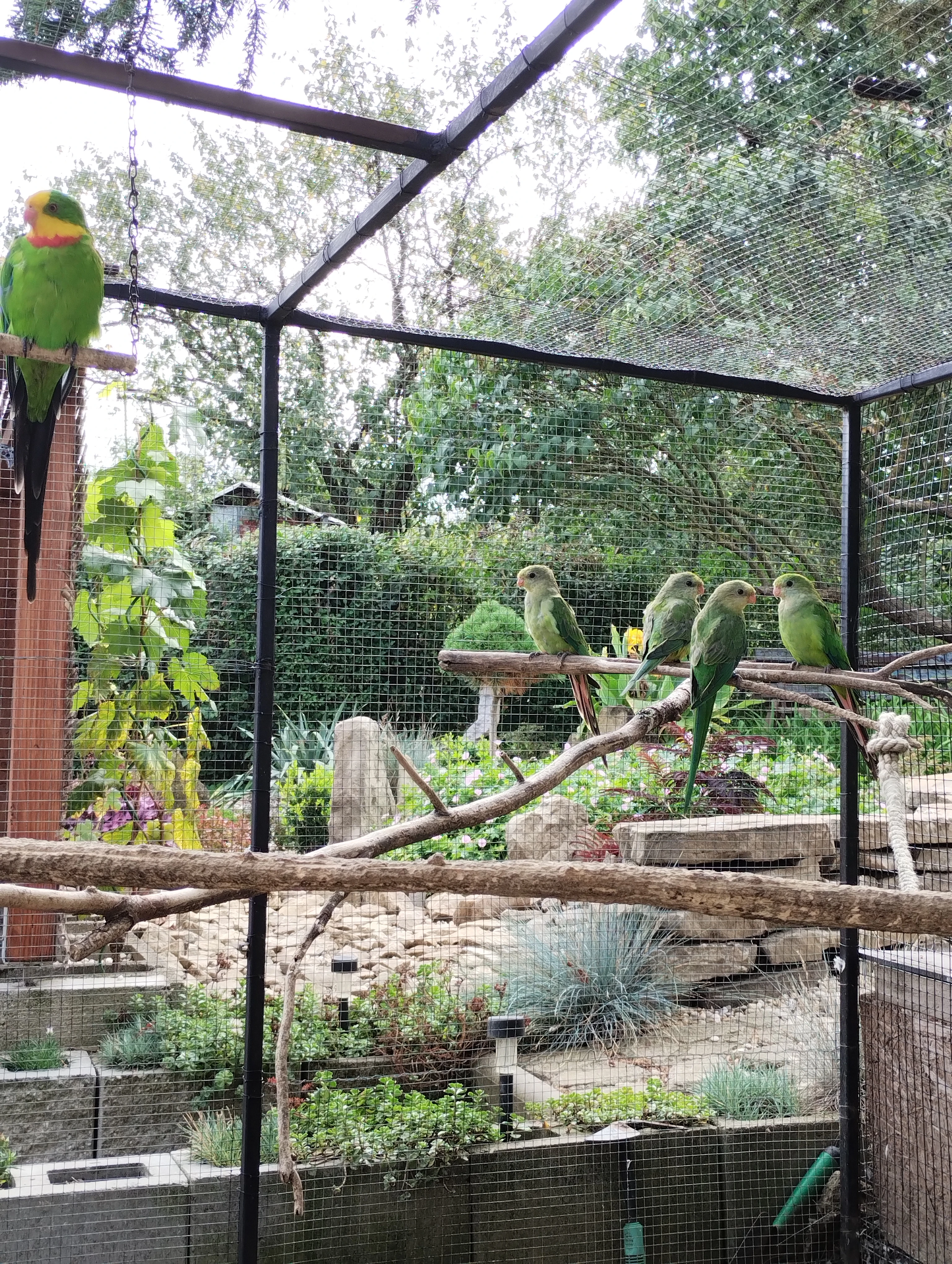 Letošní nádherní