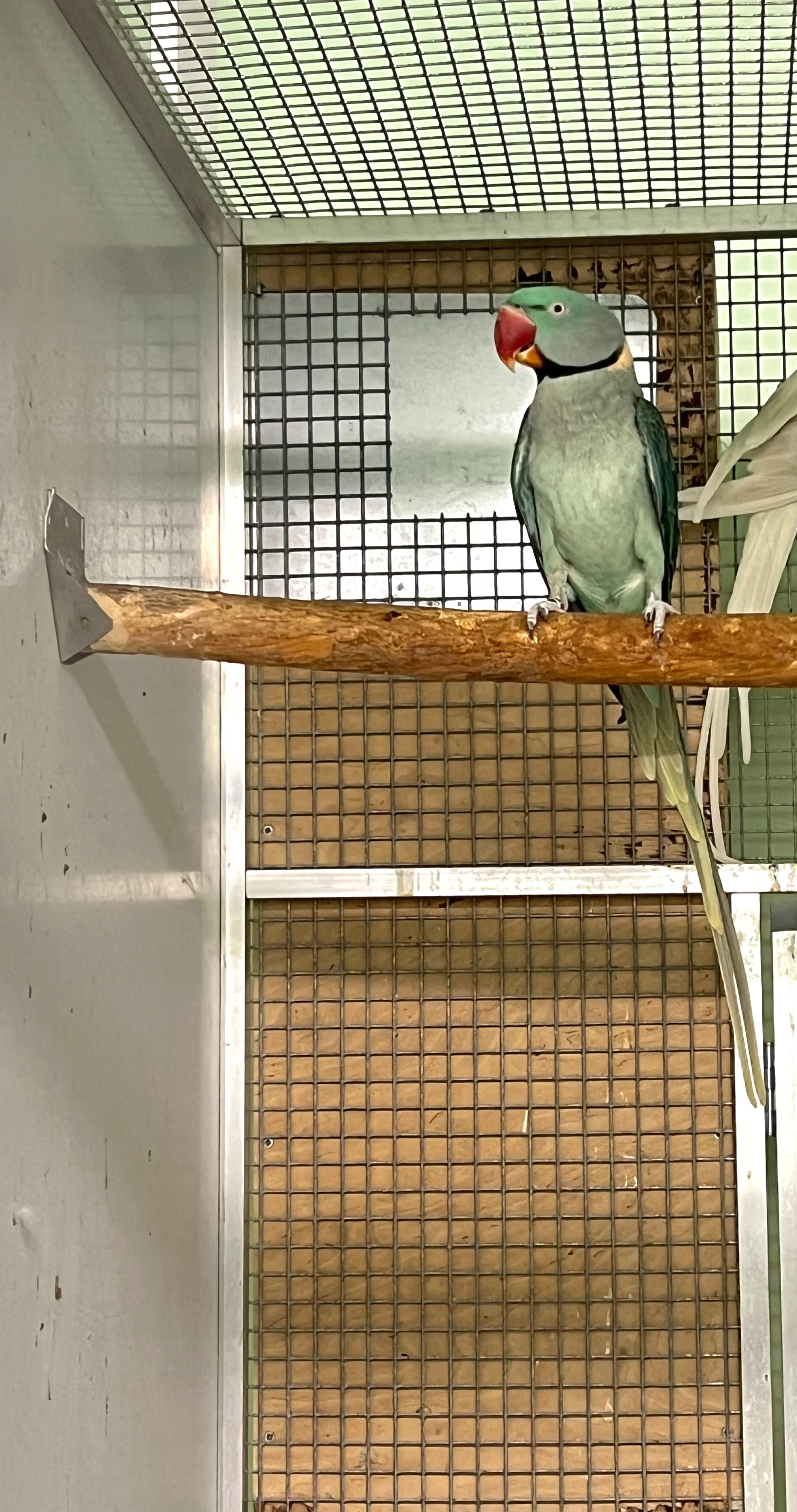 Predam 1.0 aqua na ino 2023