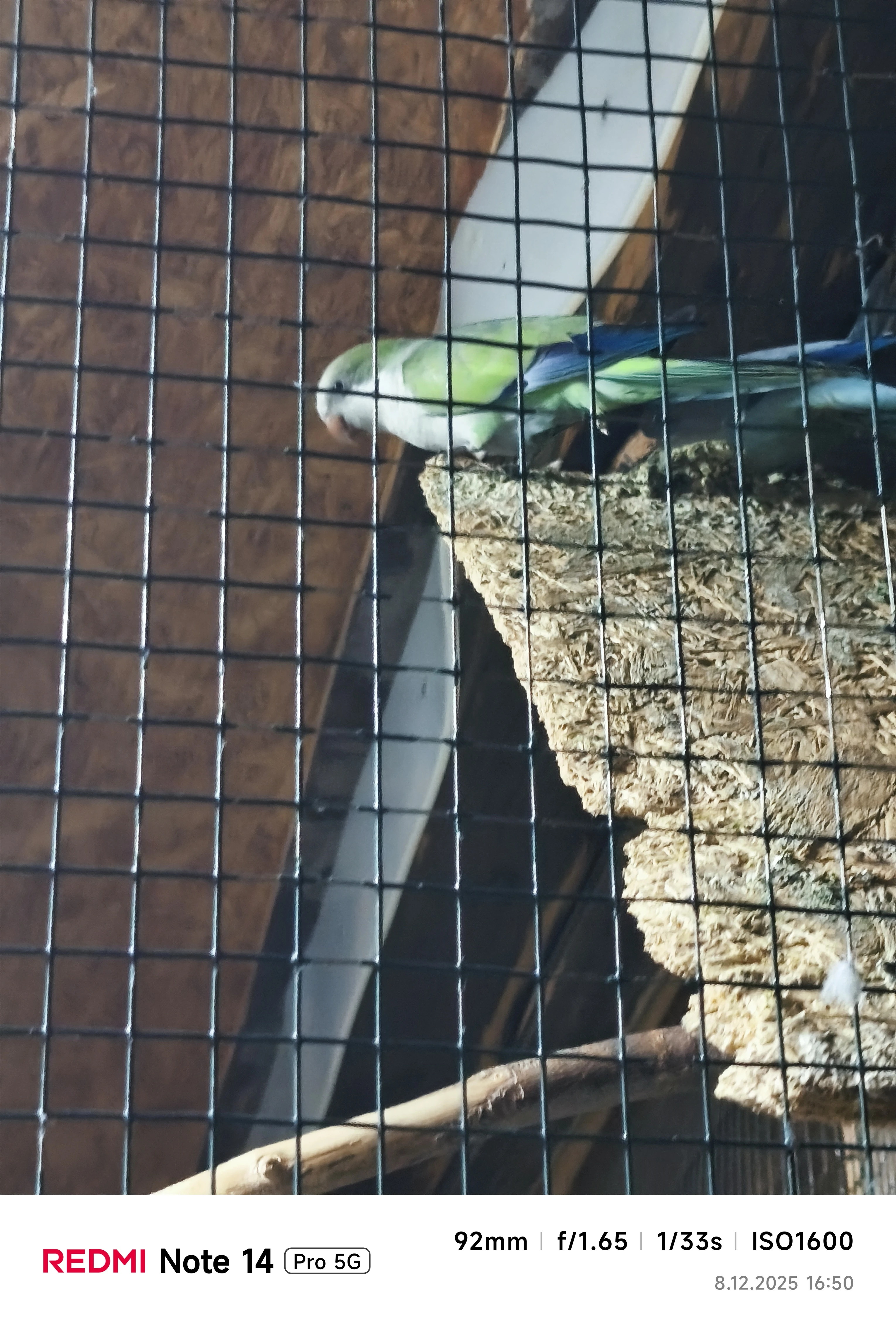 Mníšek, rosela, horský