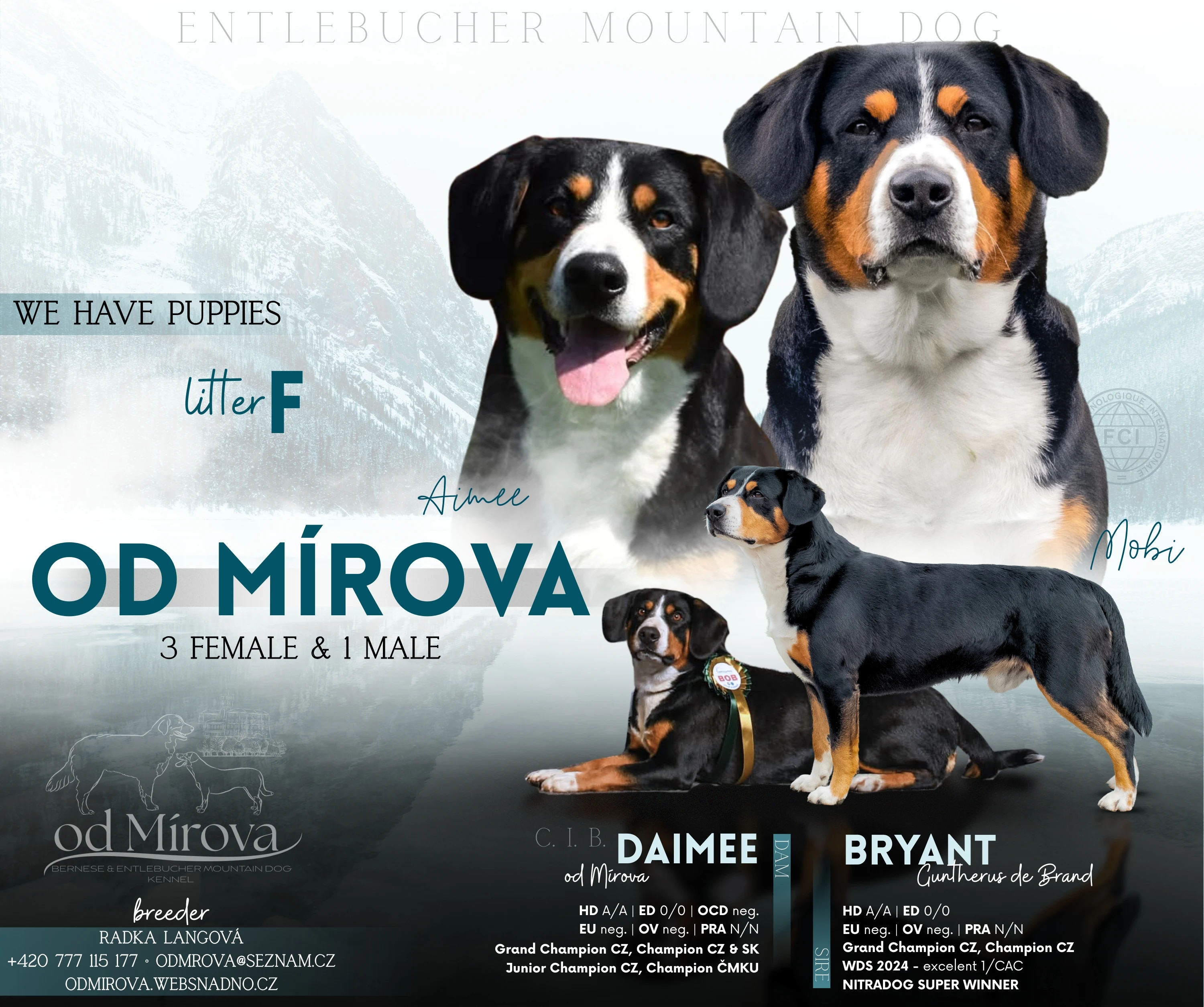 Entlebušský salašnický pes