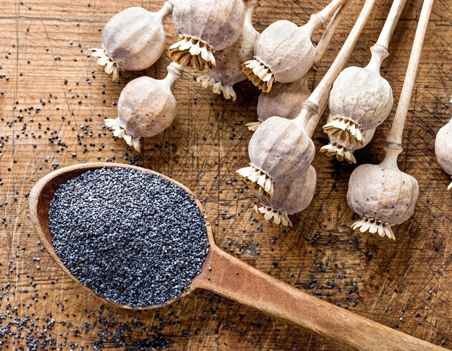 Prodám modrý a bílý mák...