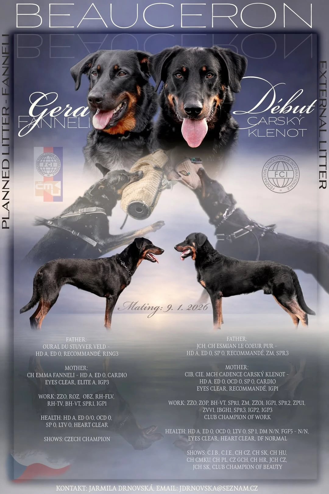 Beauceron s PP