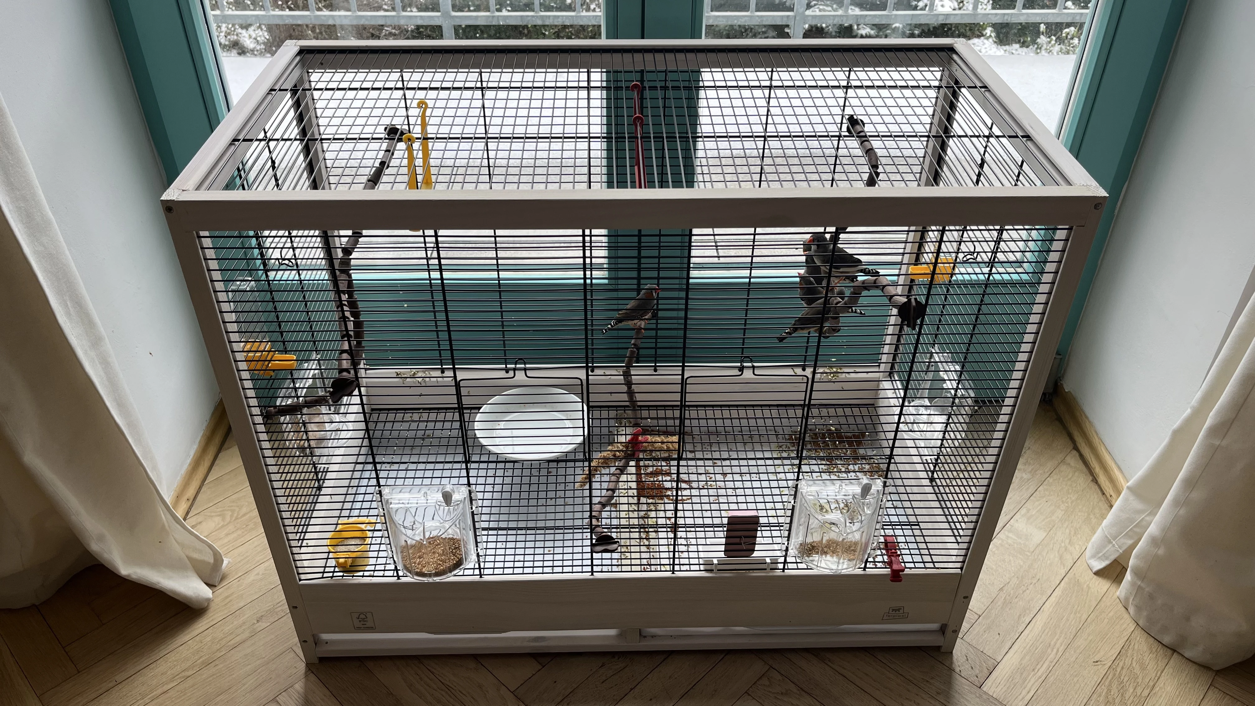 Tři páry zebřiček s klecí