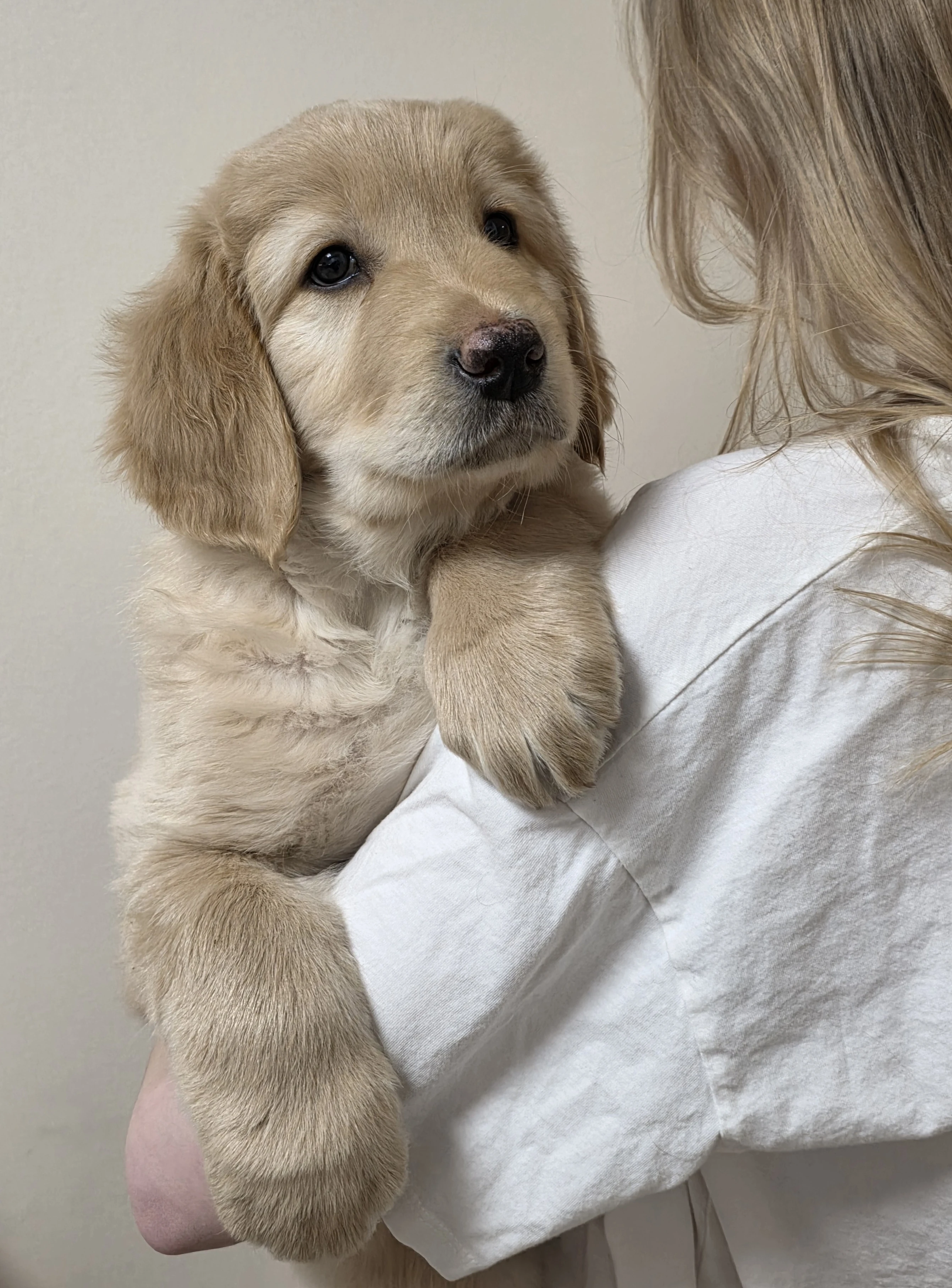 Chopper a Chris hledají láskyplnný domov