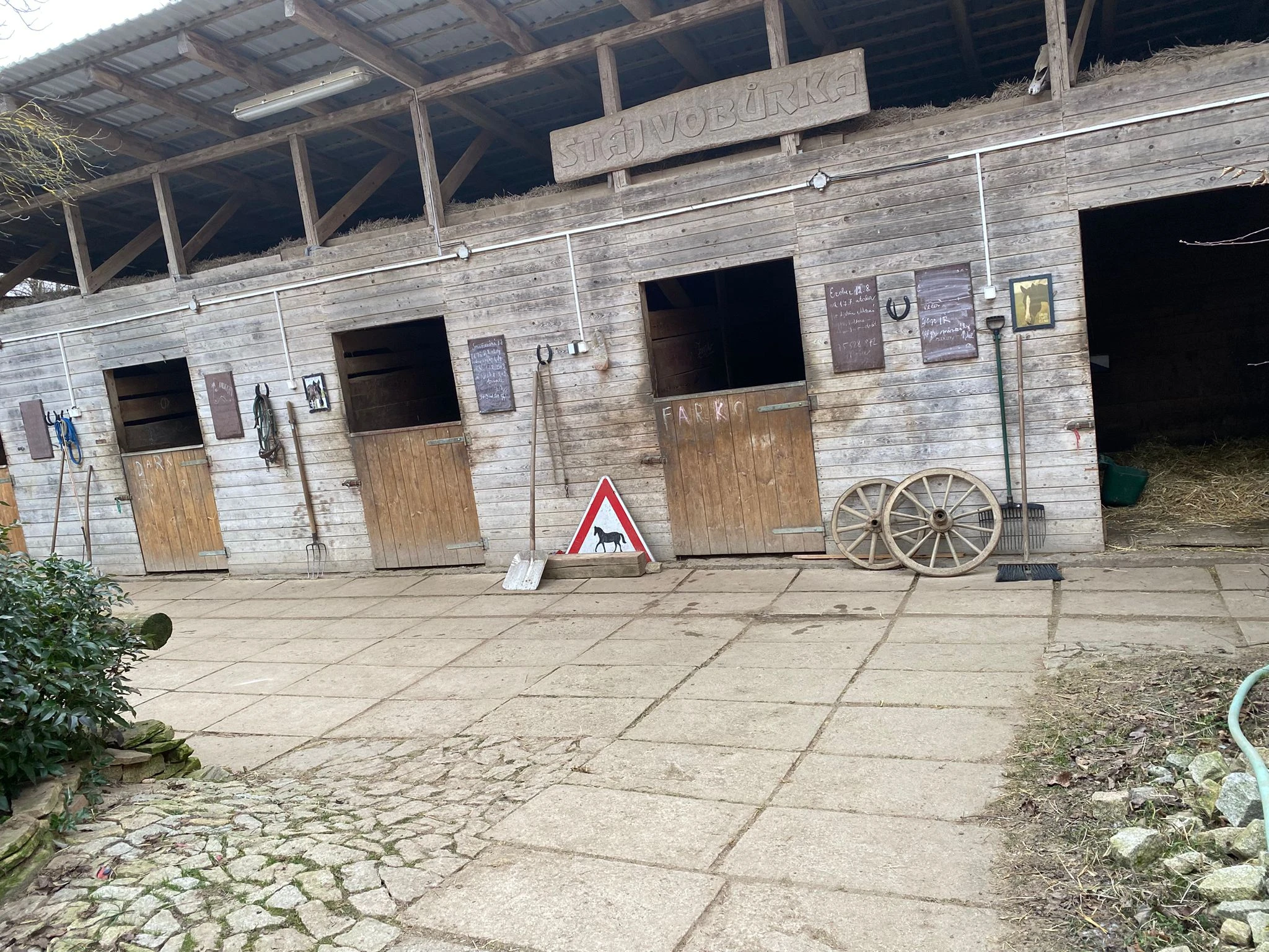 Nabízím ustájení